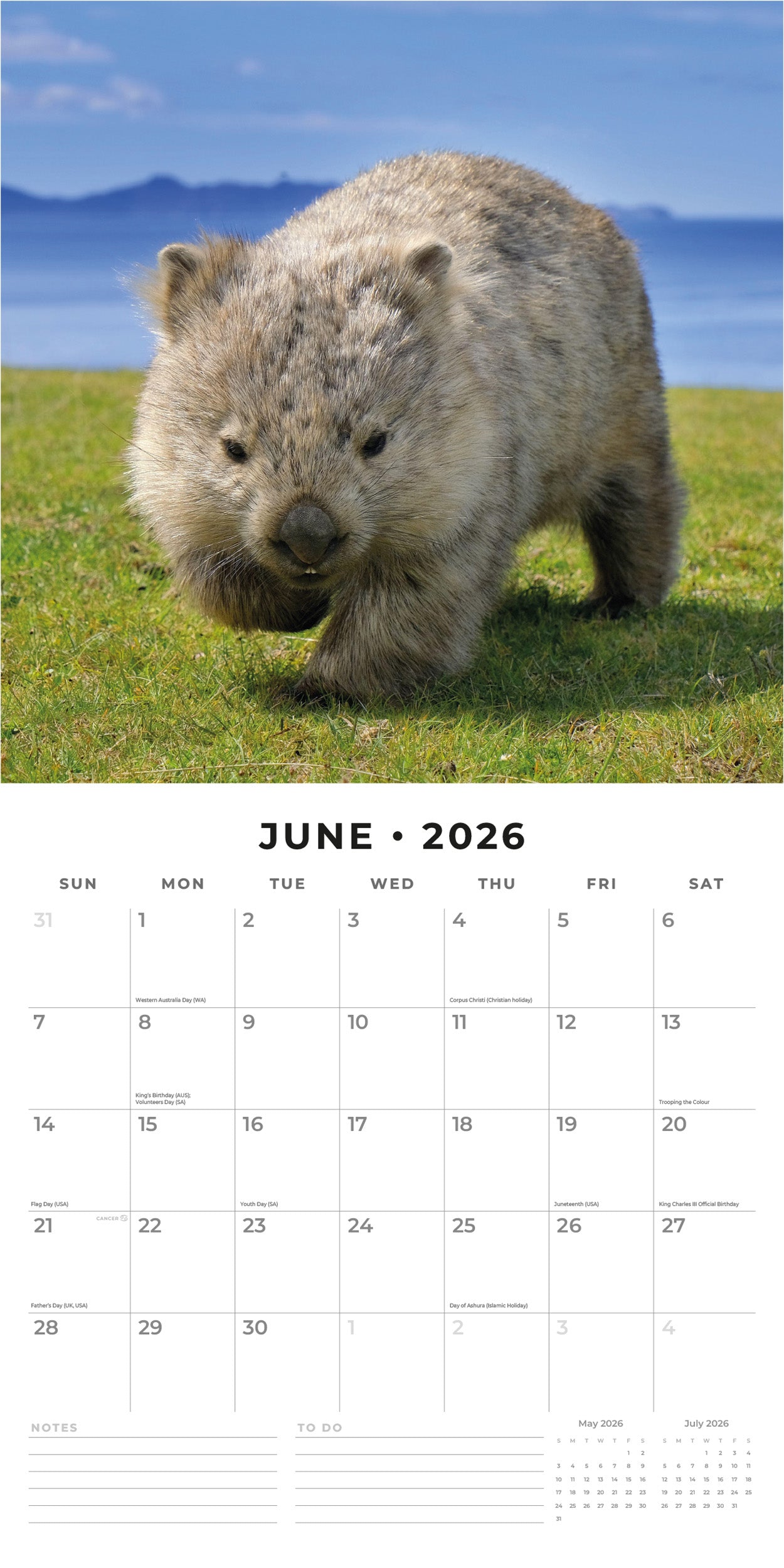 2026 Wildlife of Australia - Square Wall Calendar