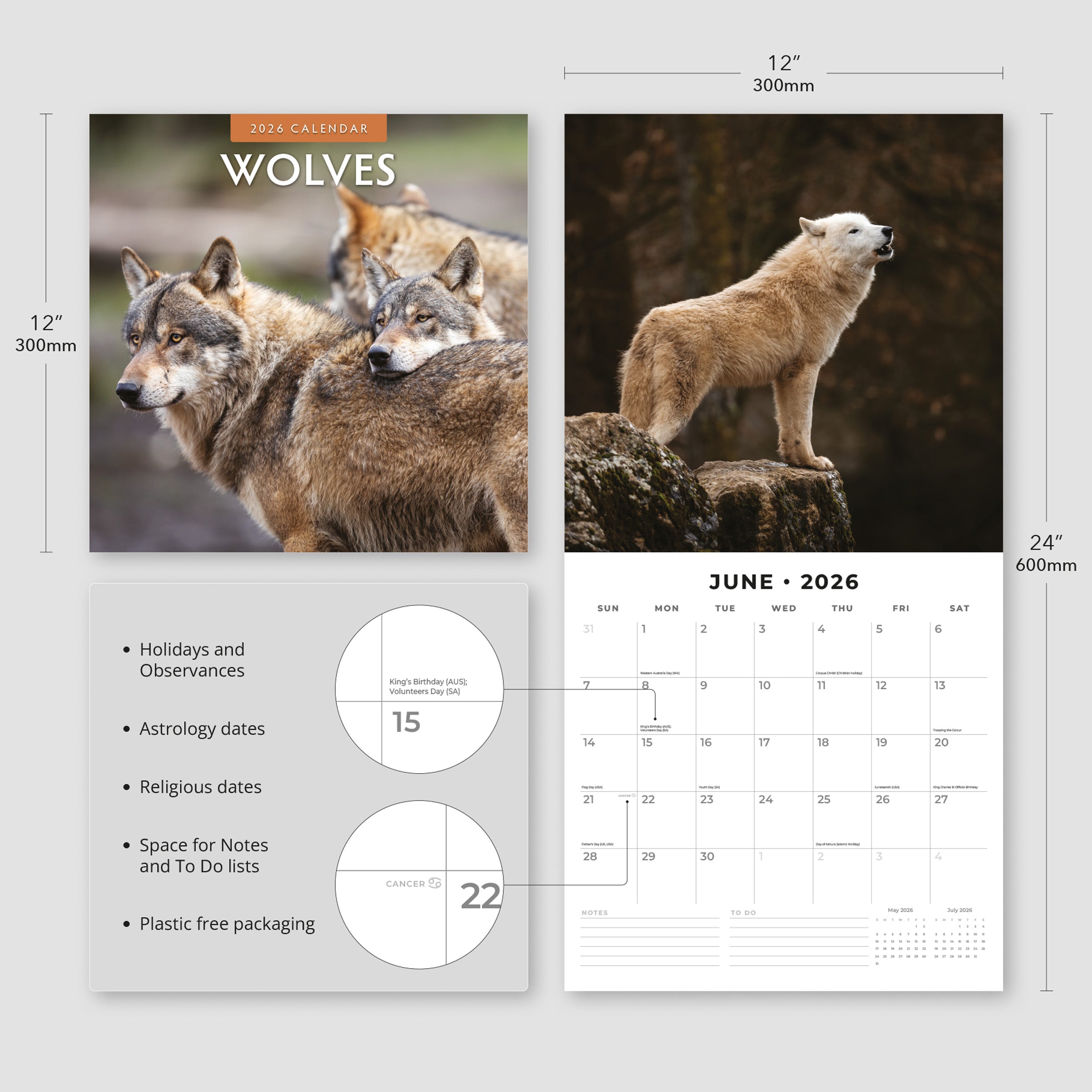 2026 Wolves - Square Wall Calendar