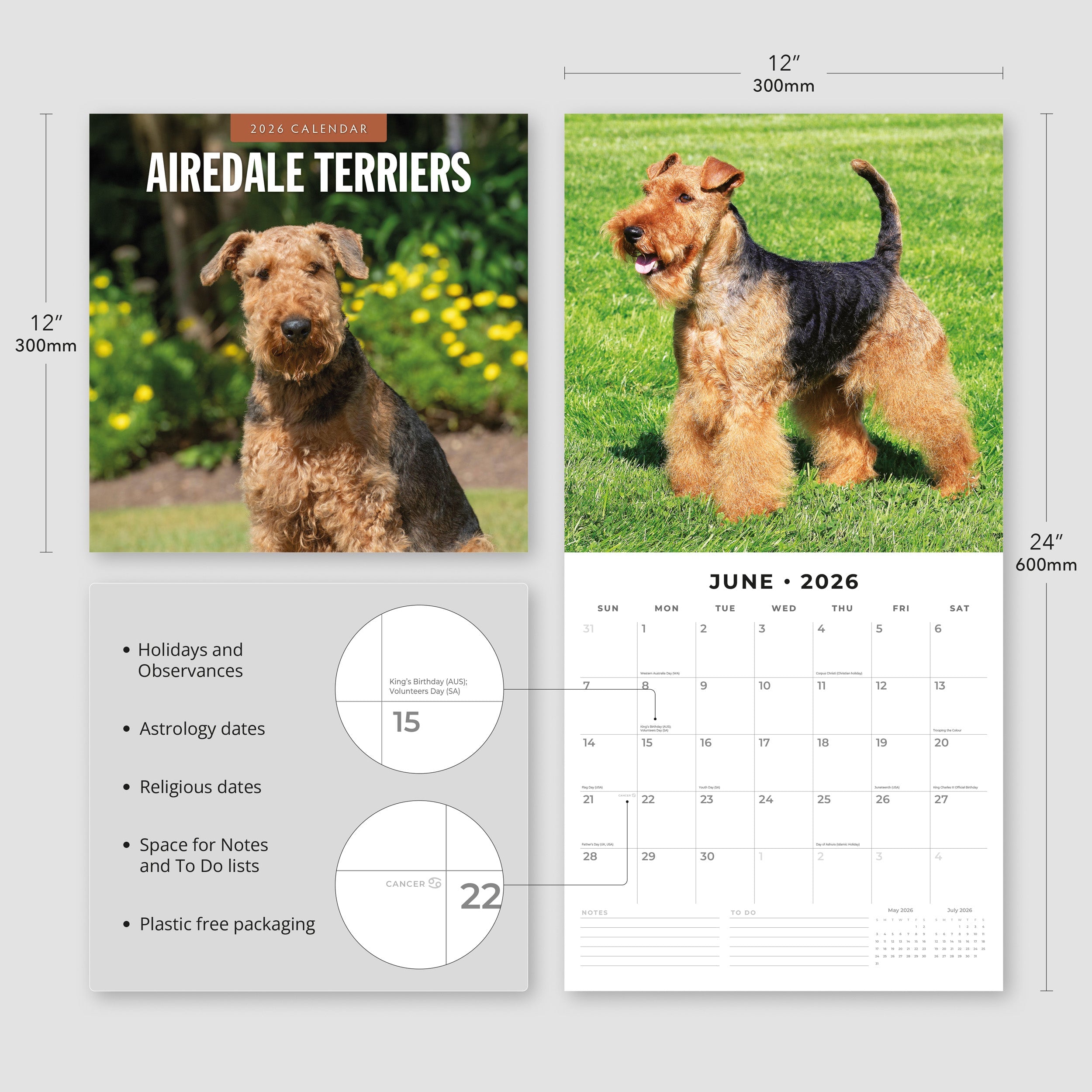 2026 Airedale Terriers - Square Wall Calendar