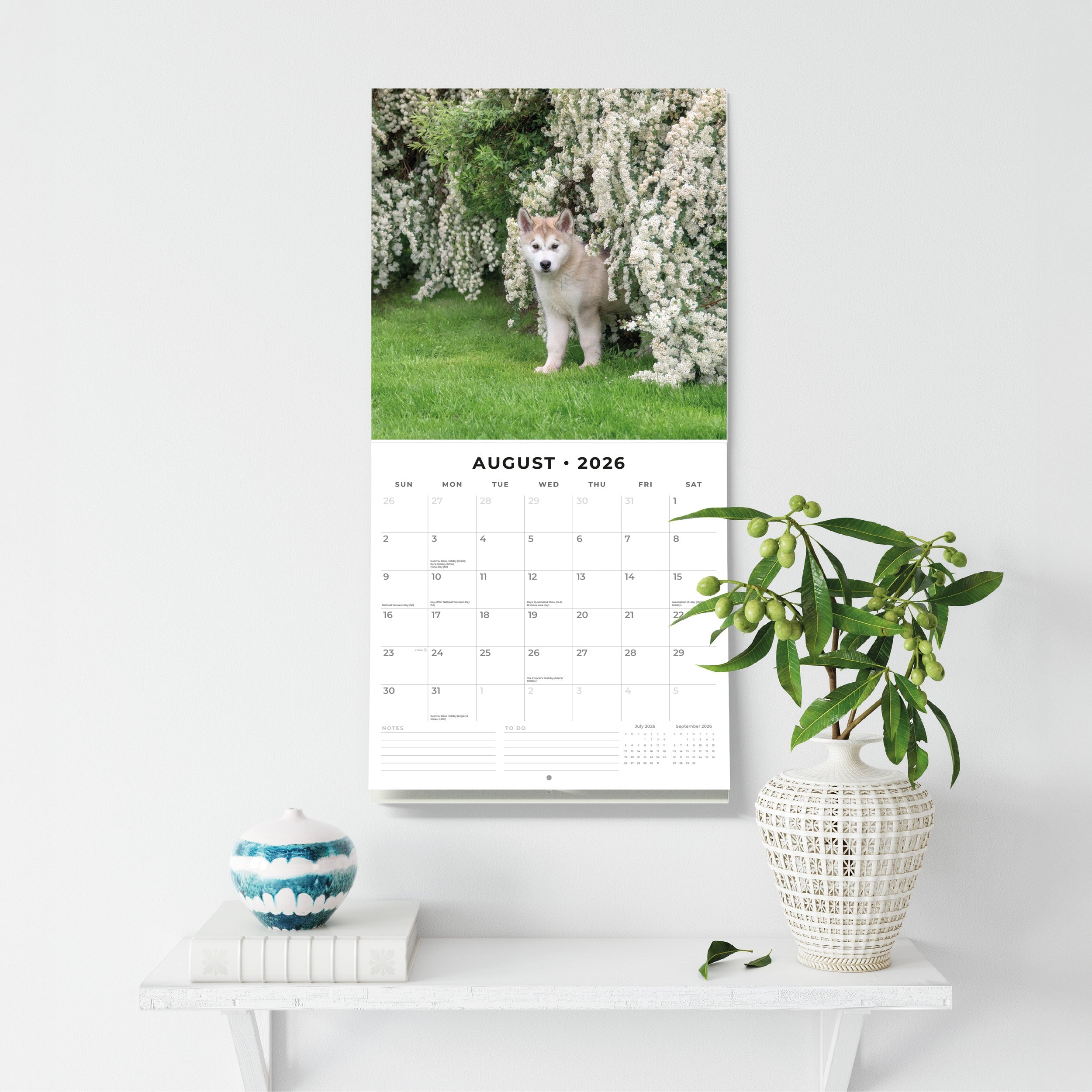 2026 Alaskan Malamutes - Square Wall Calendar