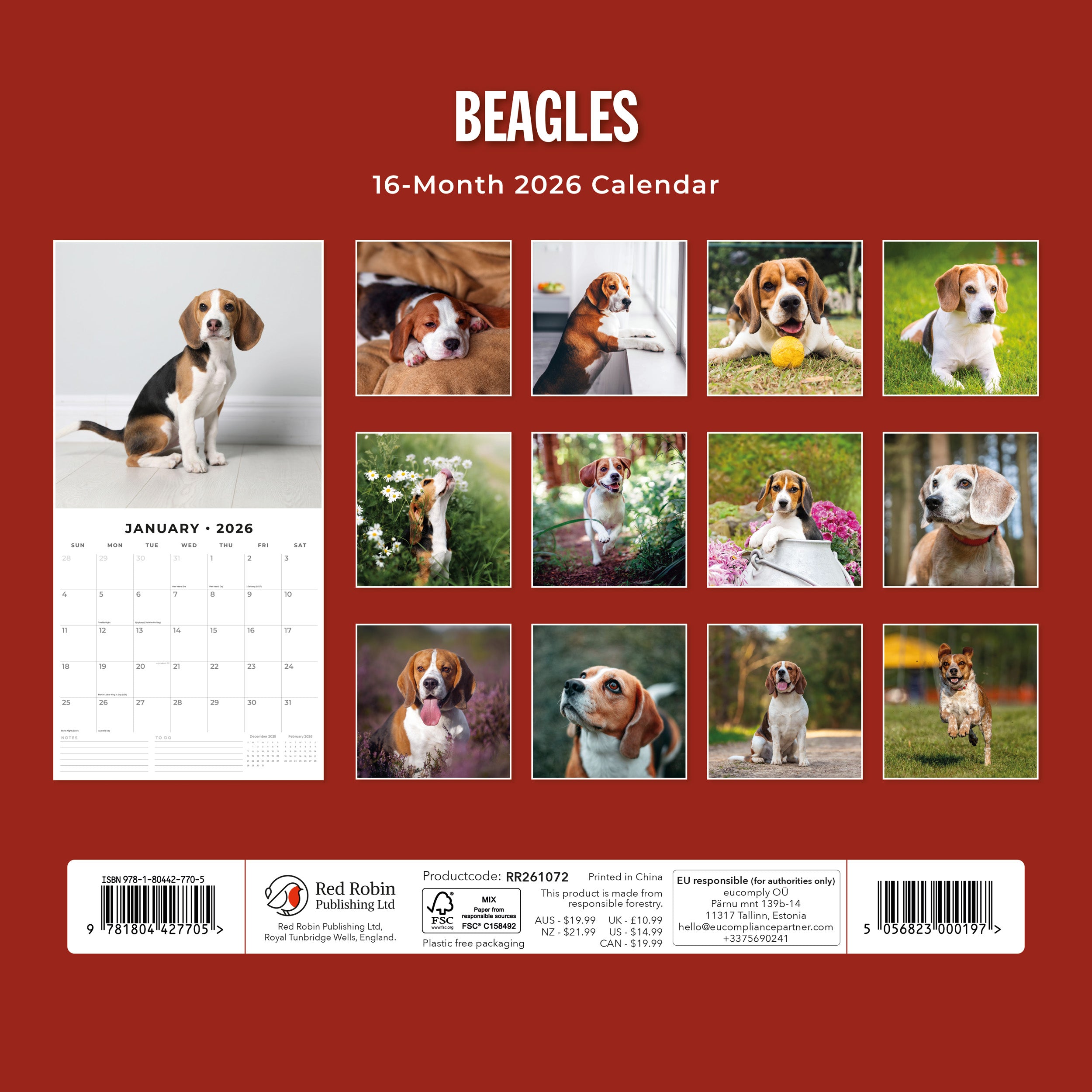 2026 Beagles - Square Wall Calendar