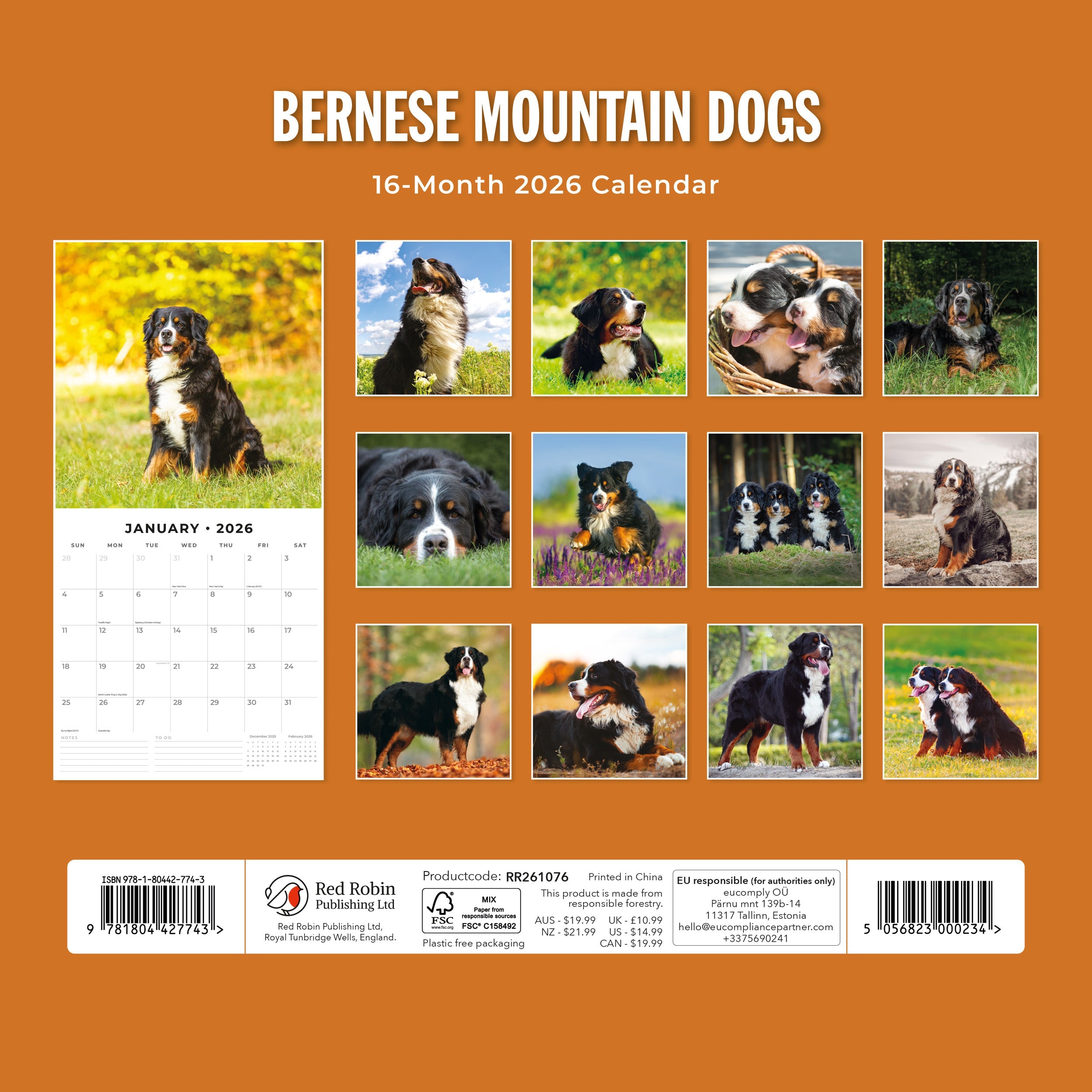 2026 Bernese Mountain Dogs - Square Wall Calendar