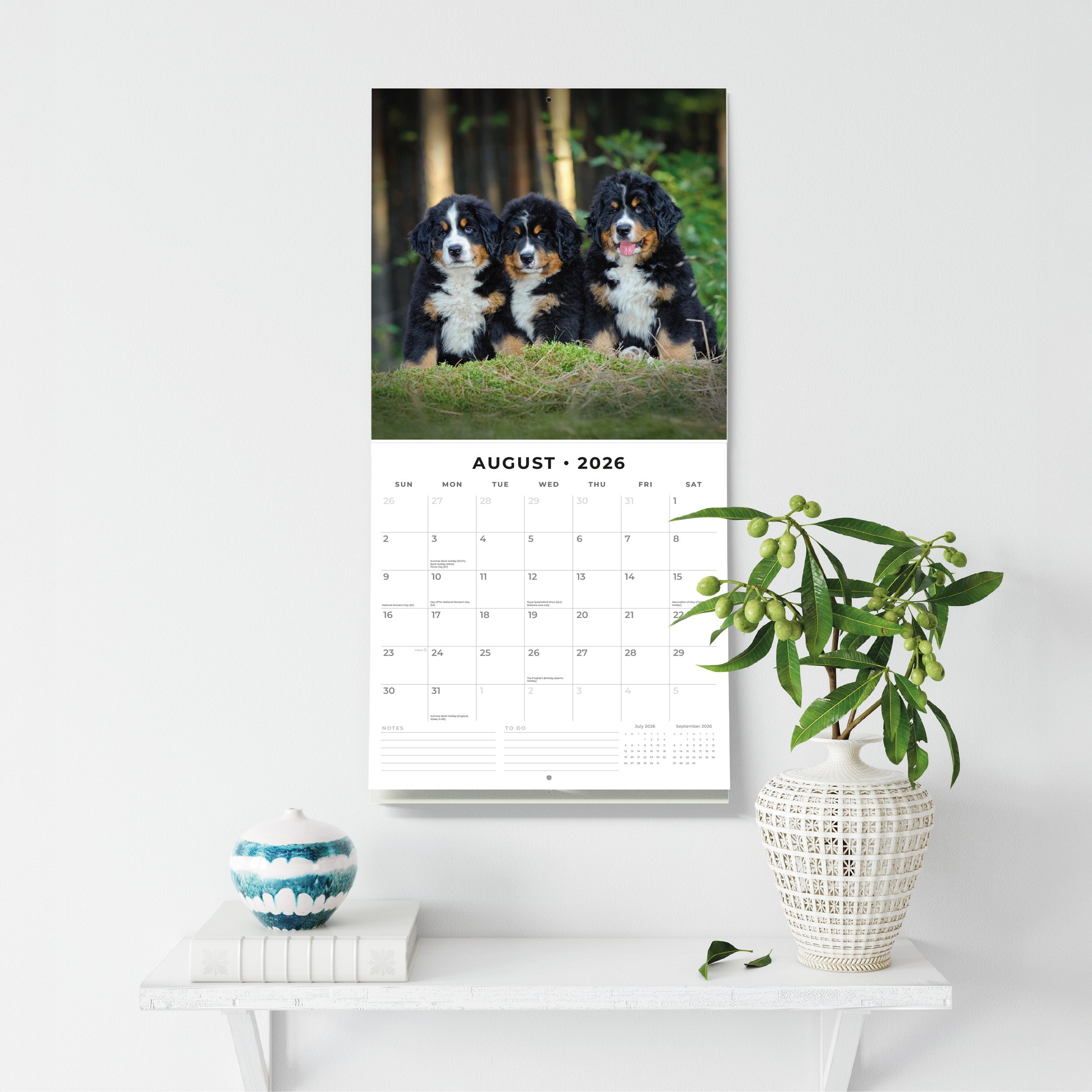 2026 Bernese Mountain Dogs - Square Wall Calendar