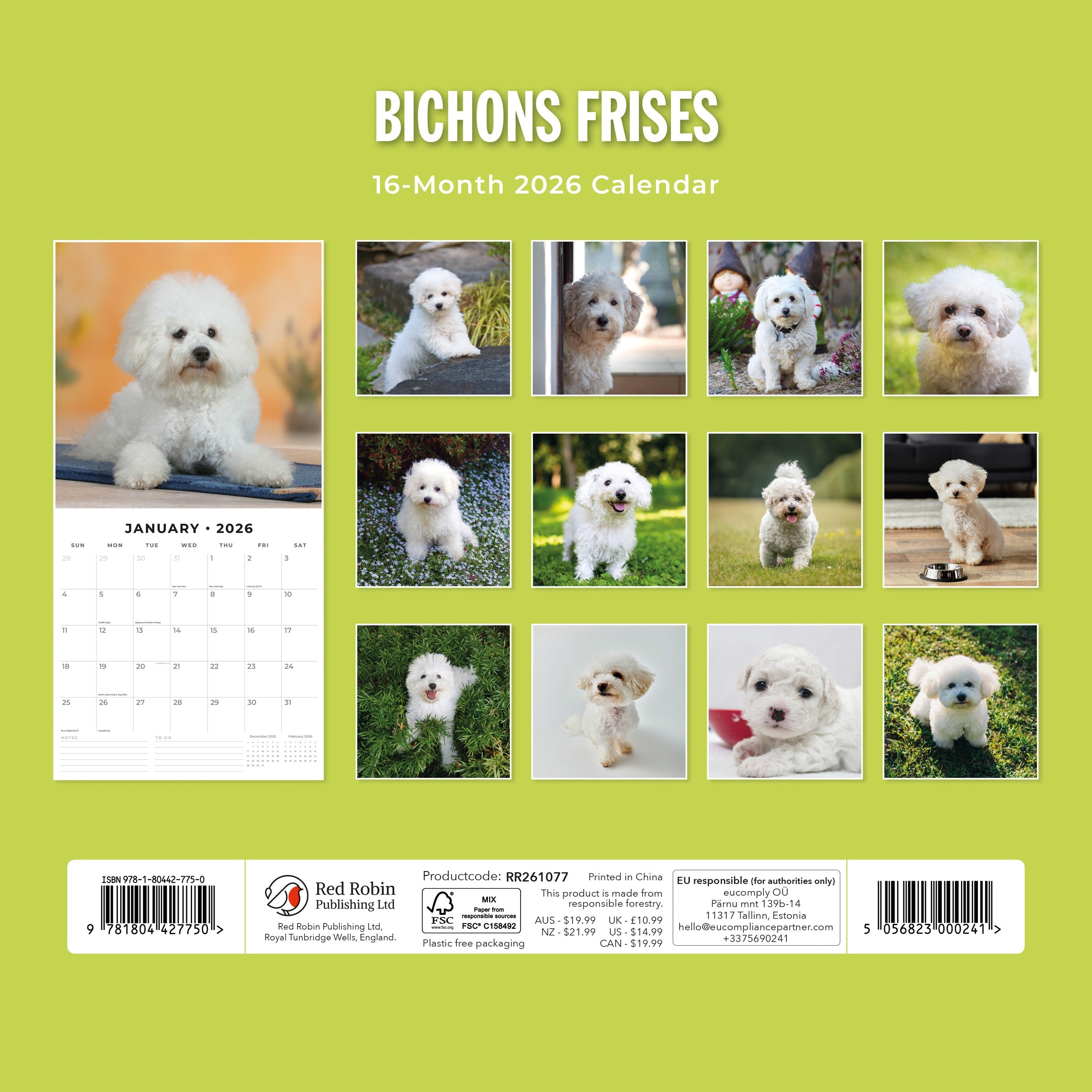 2026 Bichons Frises - Square Wall Calendar