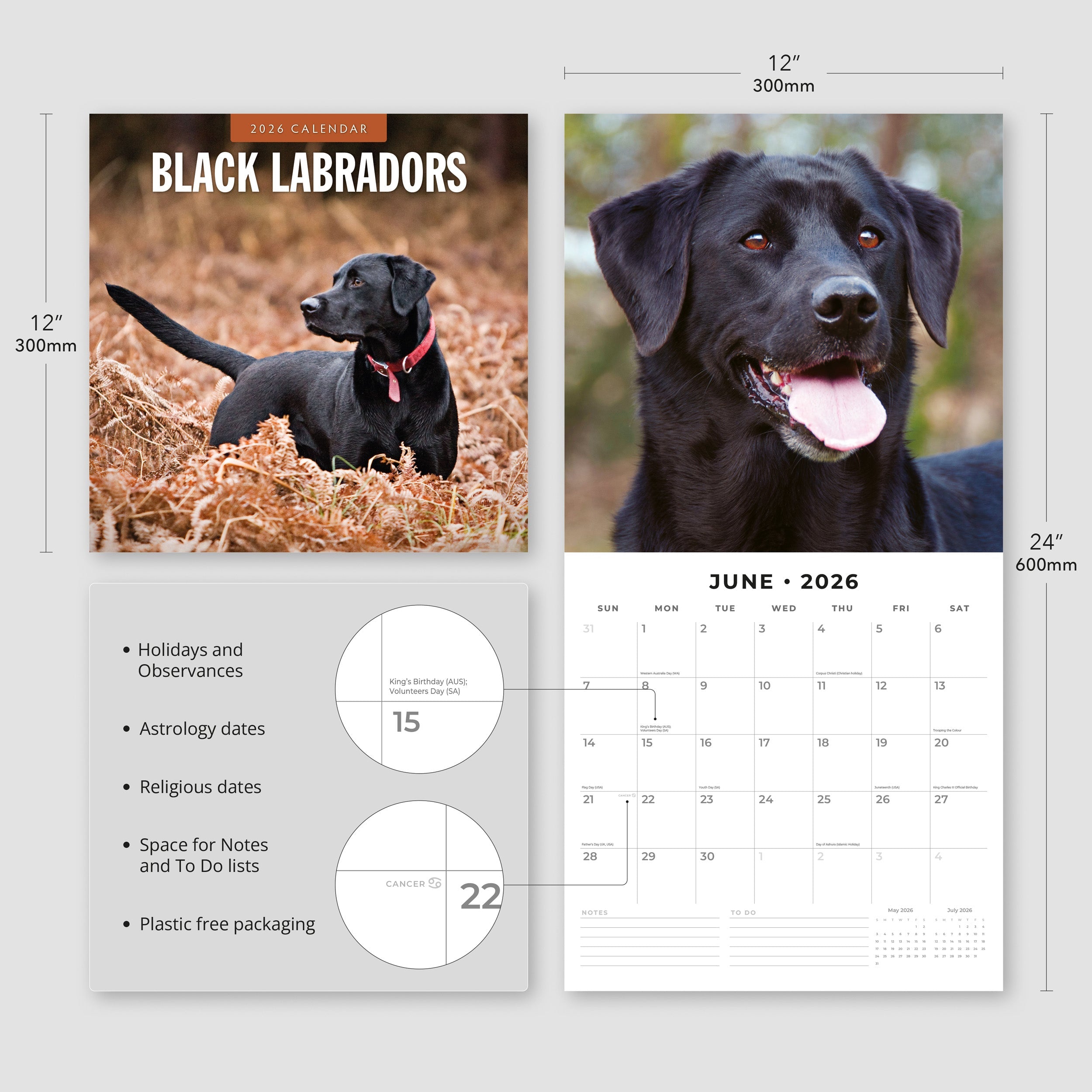 2026 Black Labradors - Square Wall Calendar