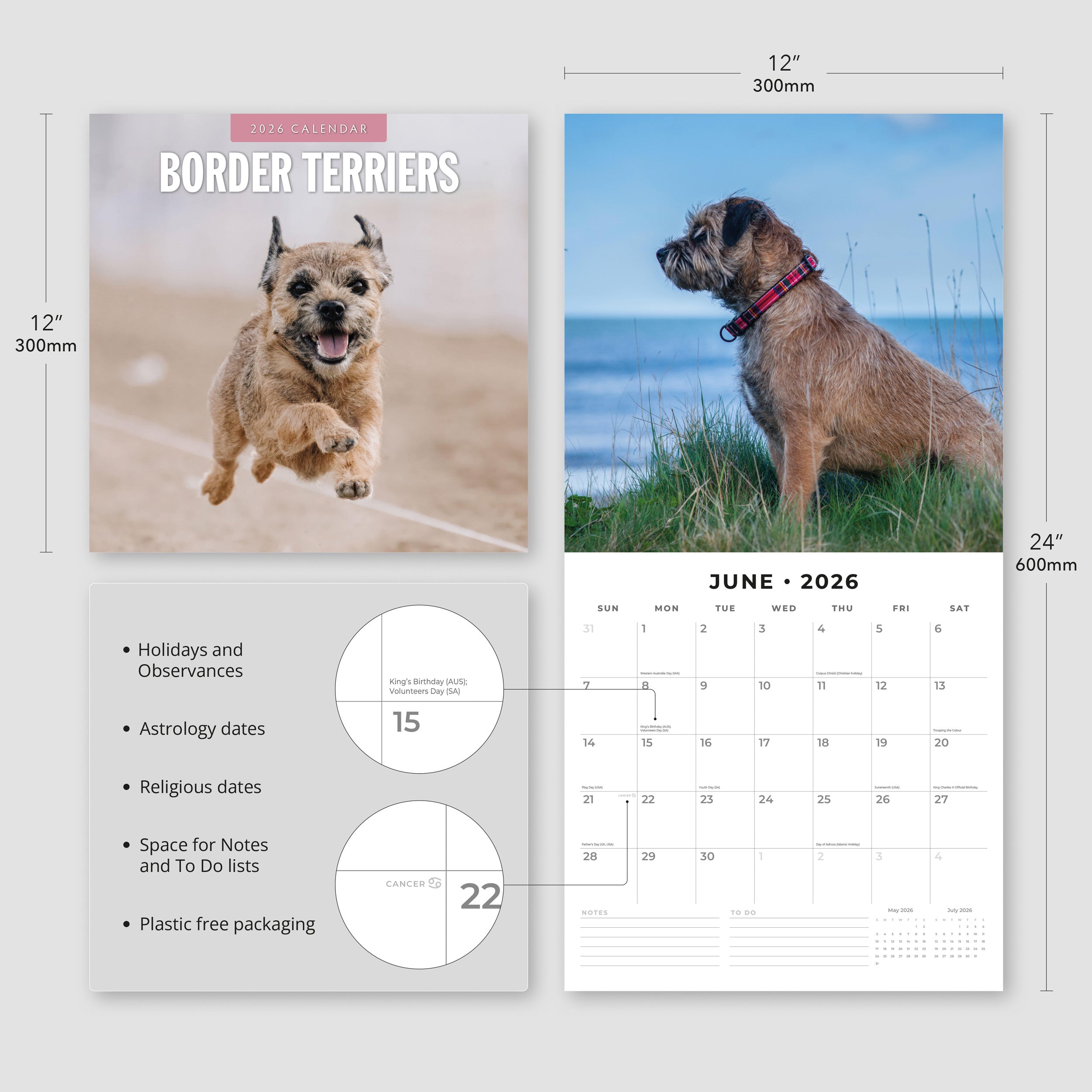 2026 Border Terriers - Square Wall Calendar