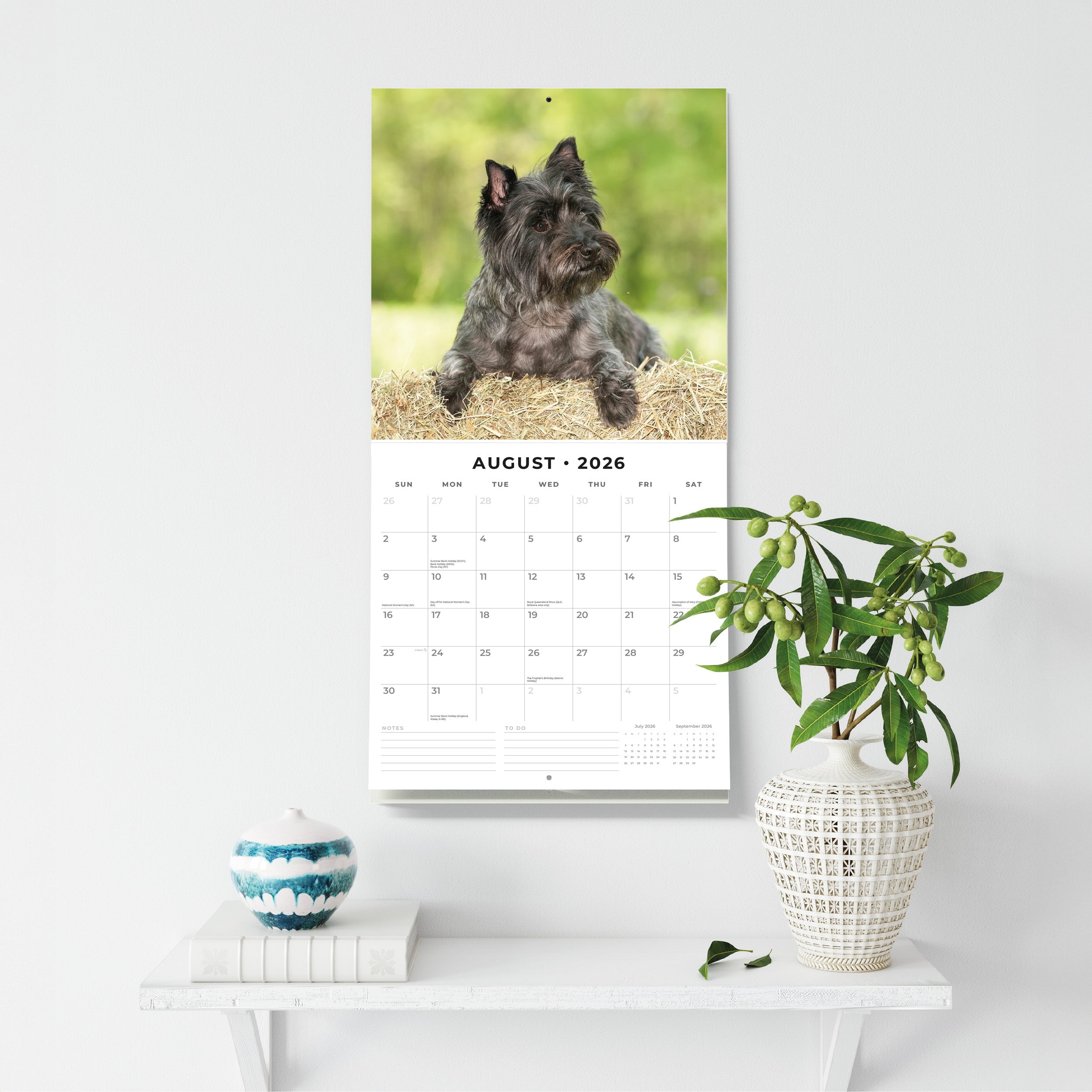 2026 Cairn Terriers - Square Wall Calendar