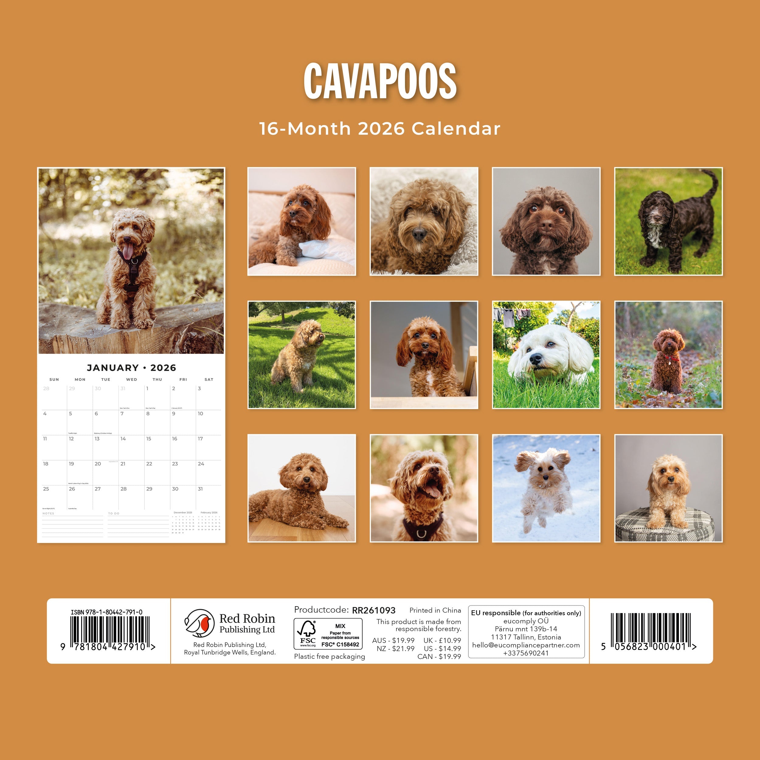 2026 Cavapoos - Square Wall Calendar