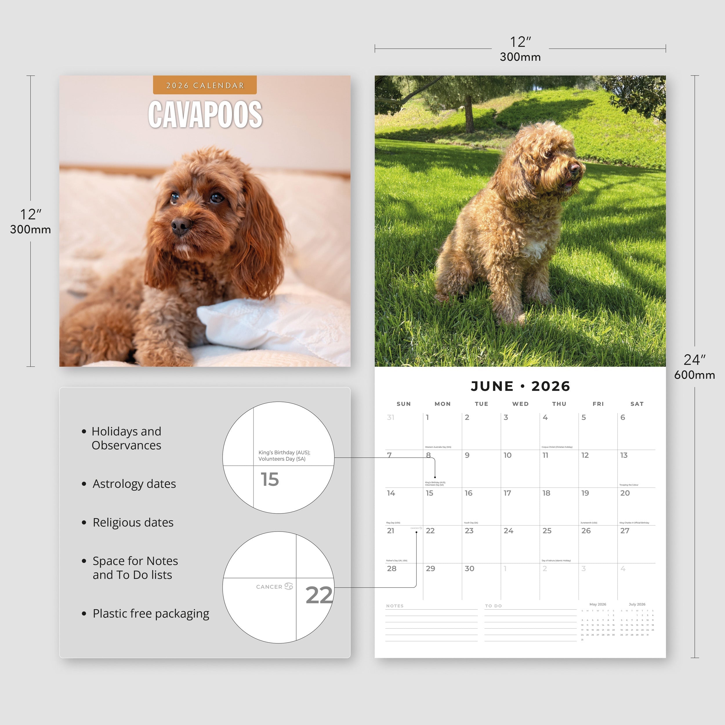 2026 Cavapoos - Square Wall Calendar