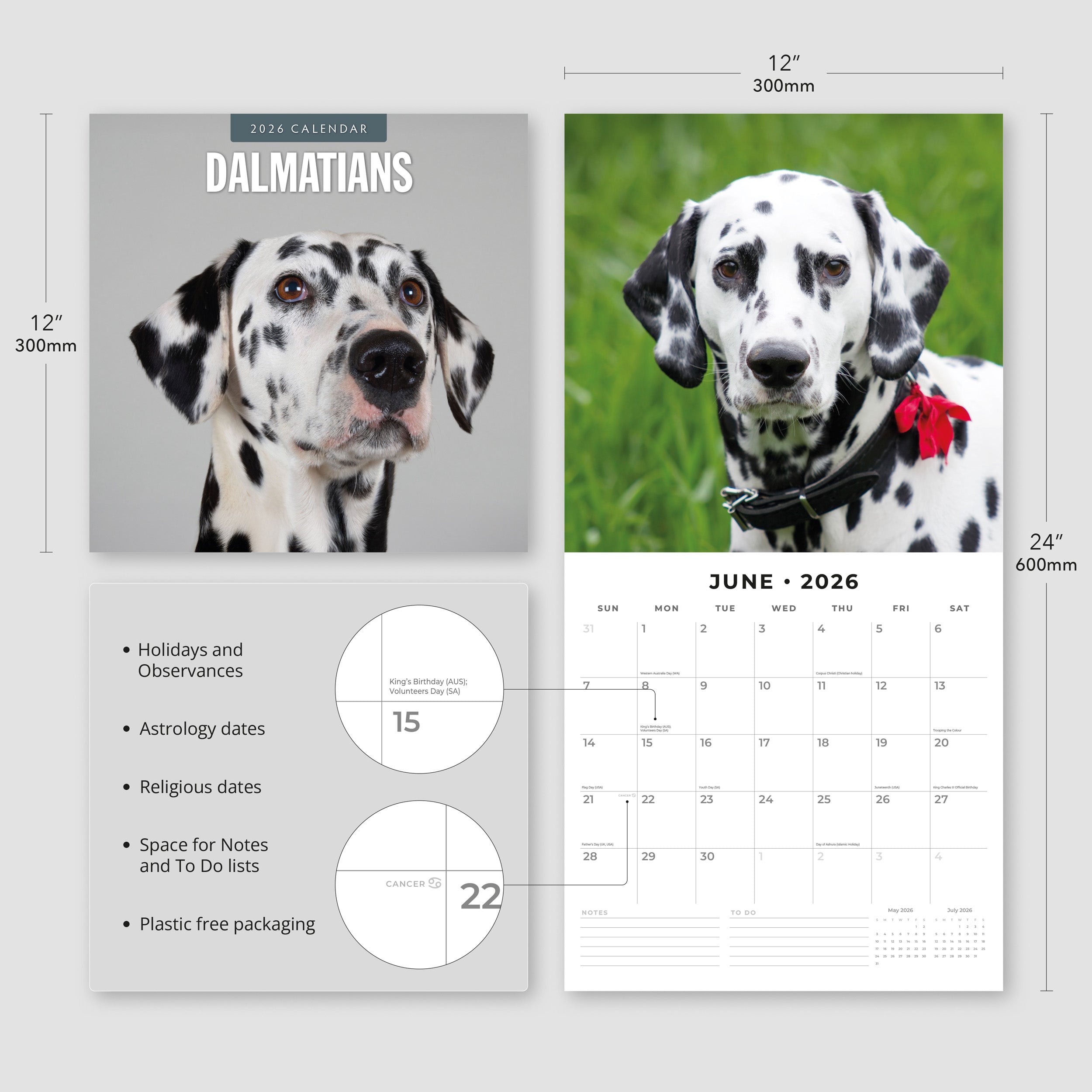 2026 Dalmatians - Square Wall Calendar