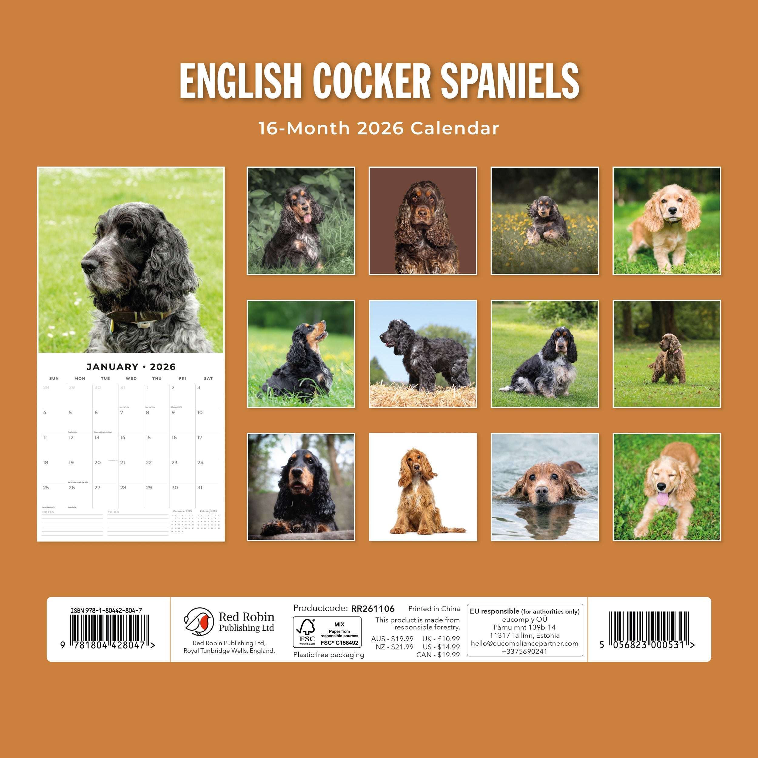 2026 English Cocker Spaniels - Square Wall Calendar