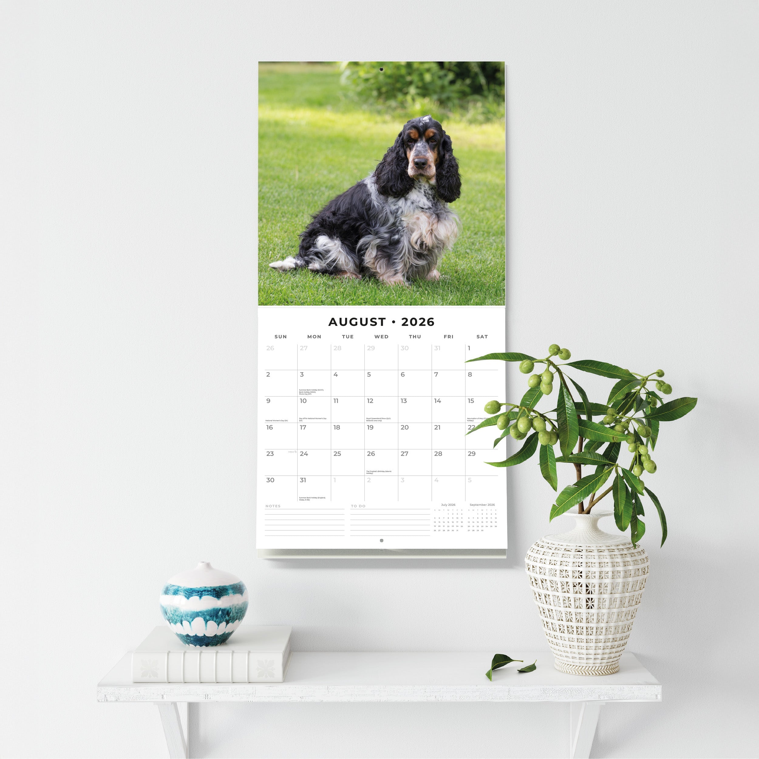 2026 English Cocker Spaniels - Square Wall Calendar