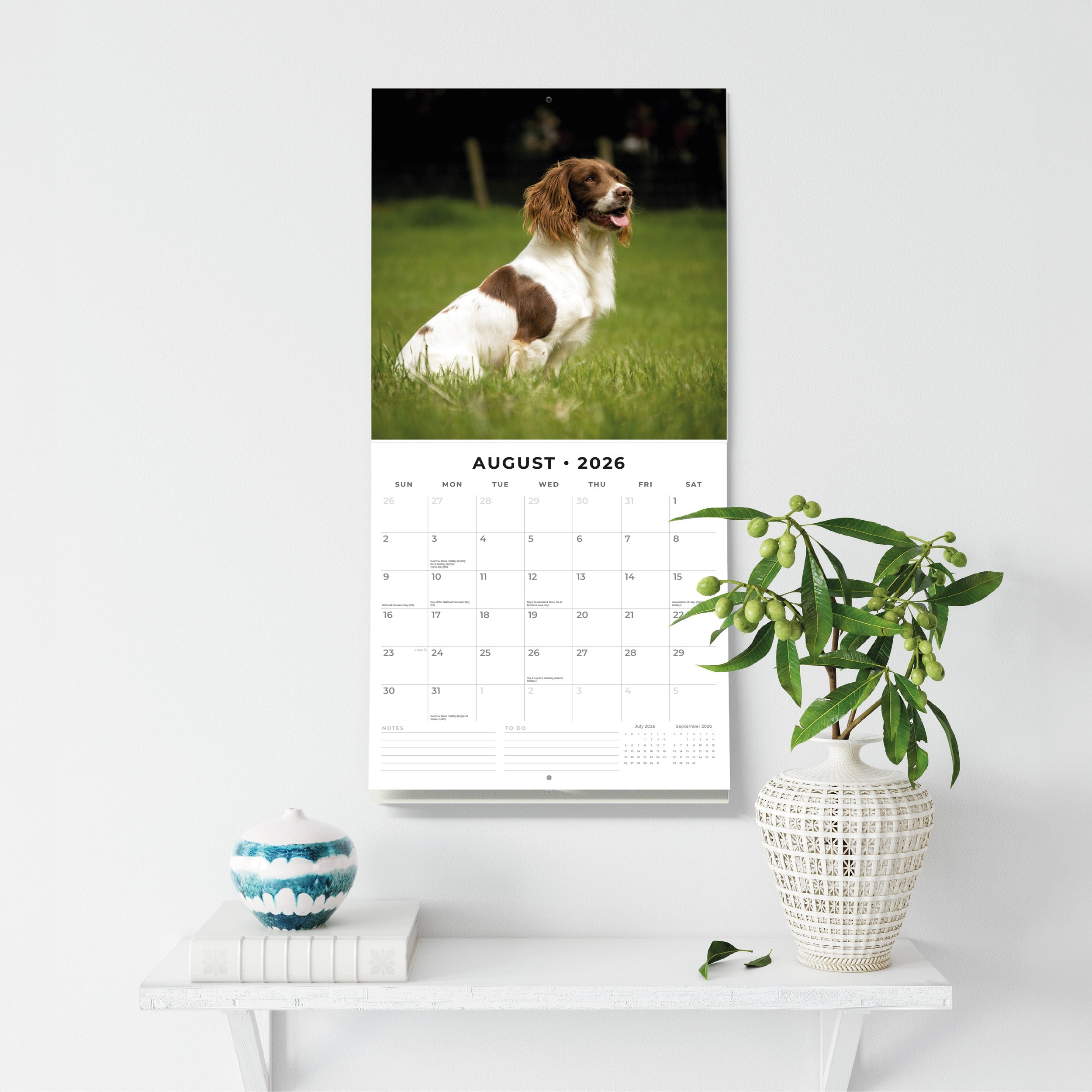 2026 English Springer Spaniels - Square Wall Calendar