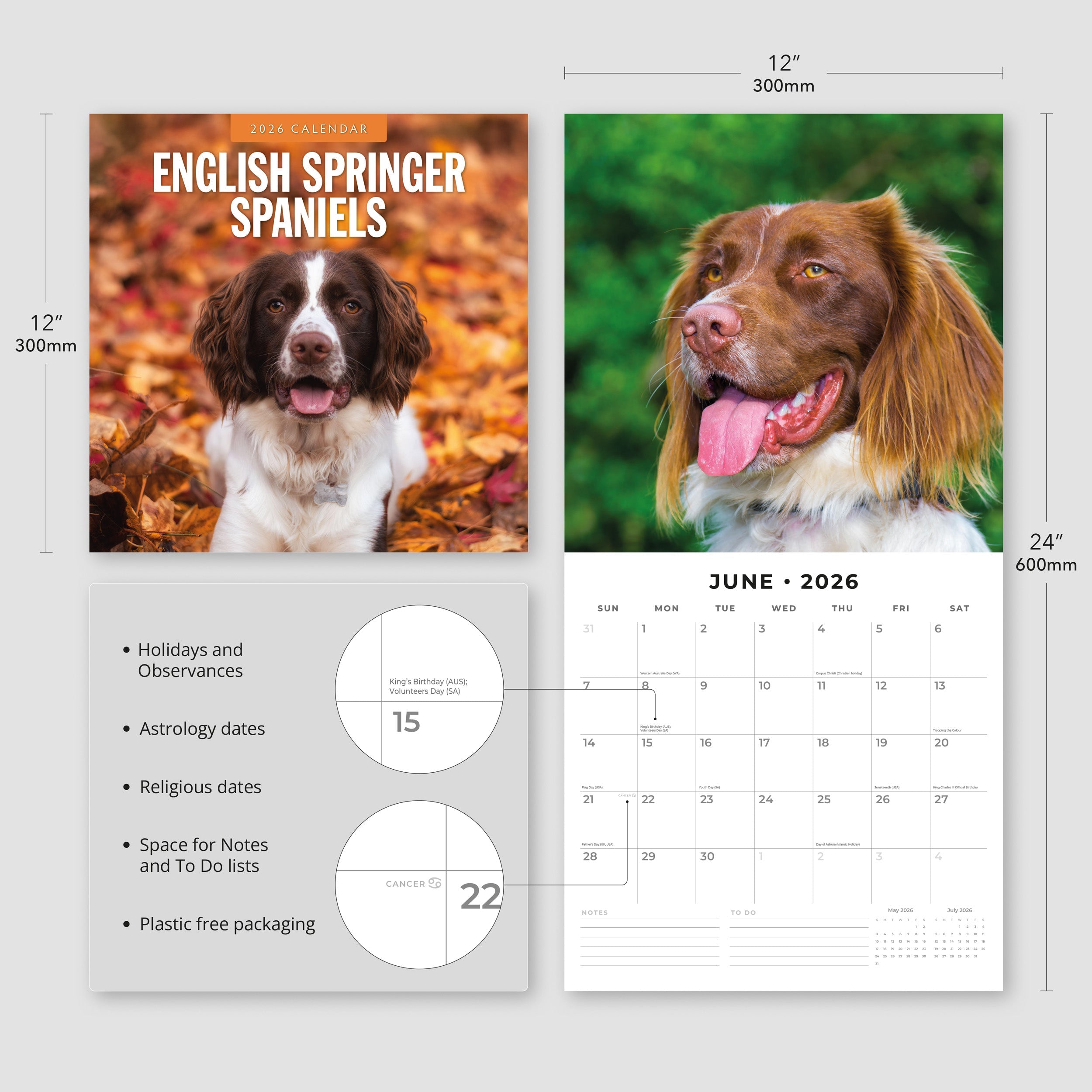 2026 English Springer Spaniels - Square Wall Calendar