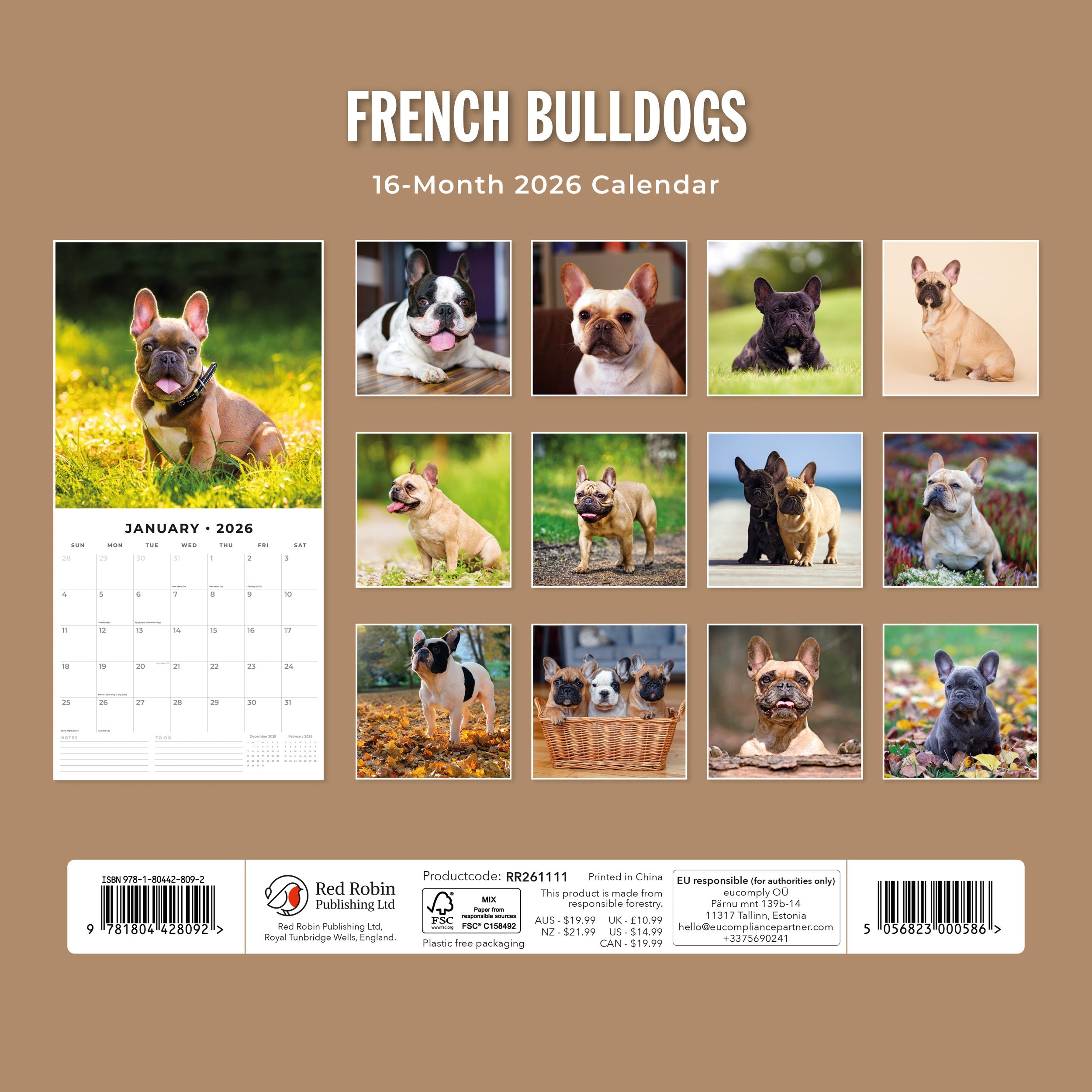 2026 French Bulldogs - Square Wall Calendar