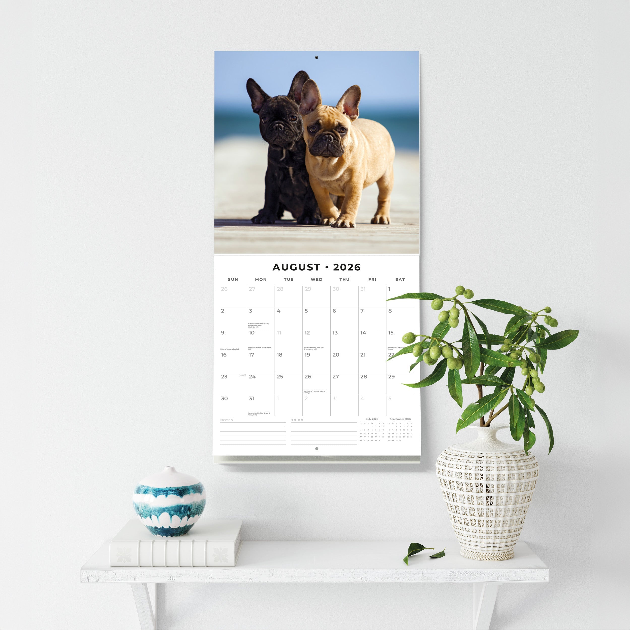 2026 French Bulldogs - Square Wall Calendar