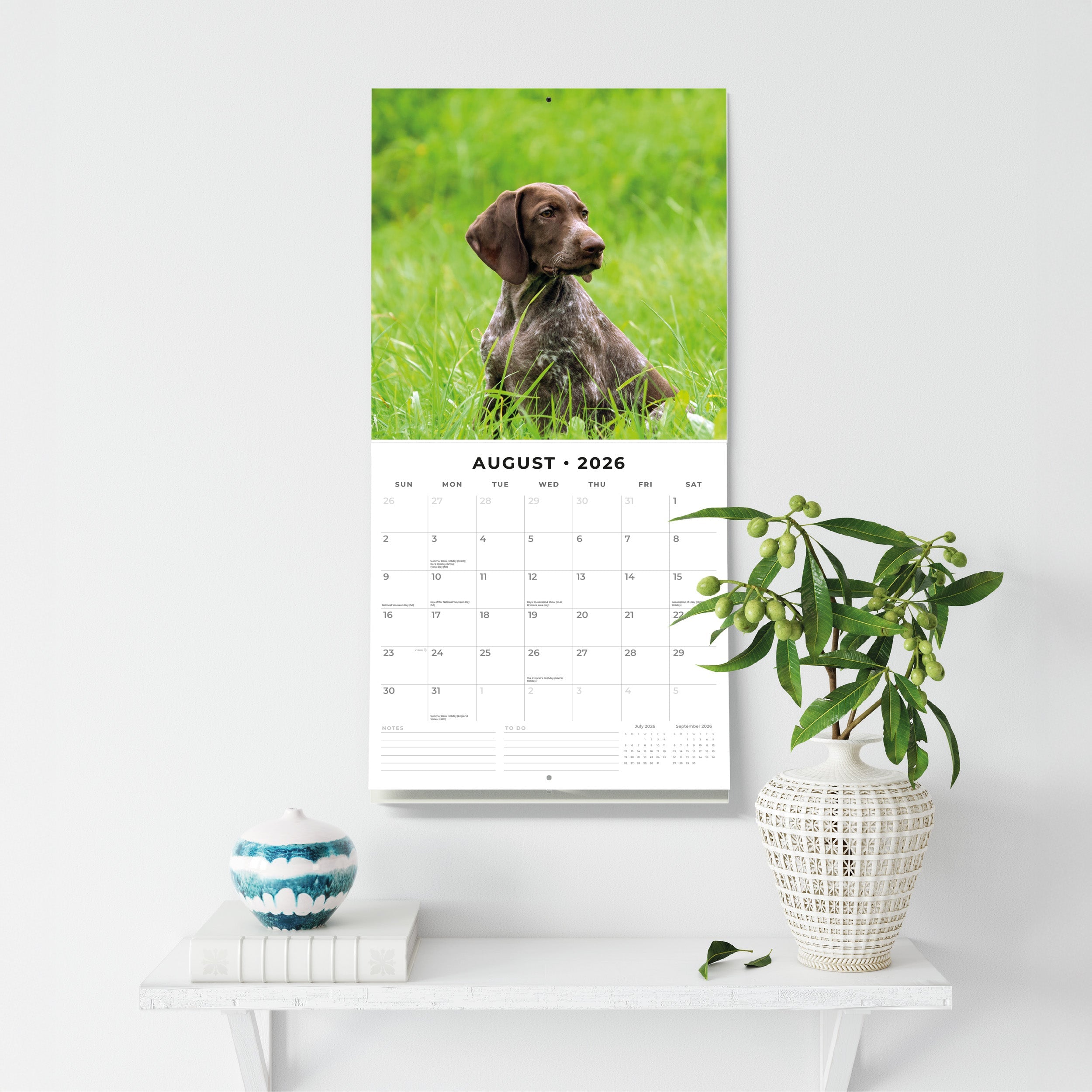 2026 German Shorthaired Pointers - Square Wall Calendar