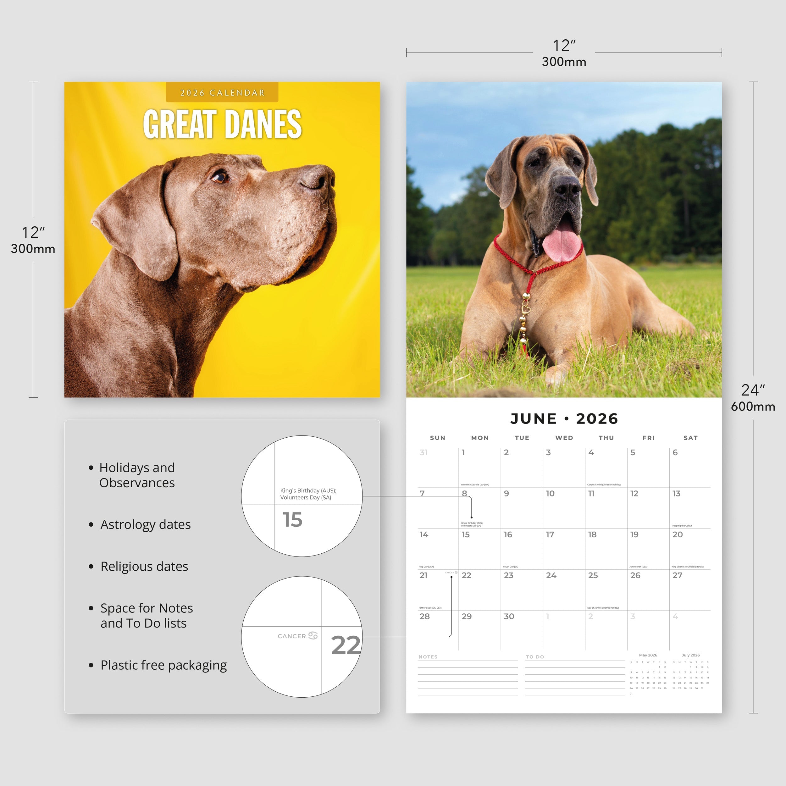 2026 Great Danes - Square Wall Calendar