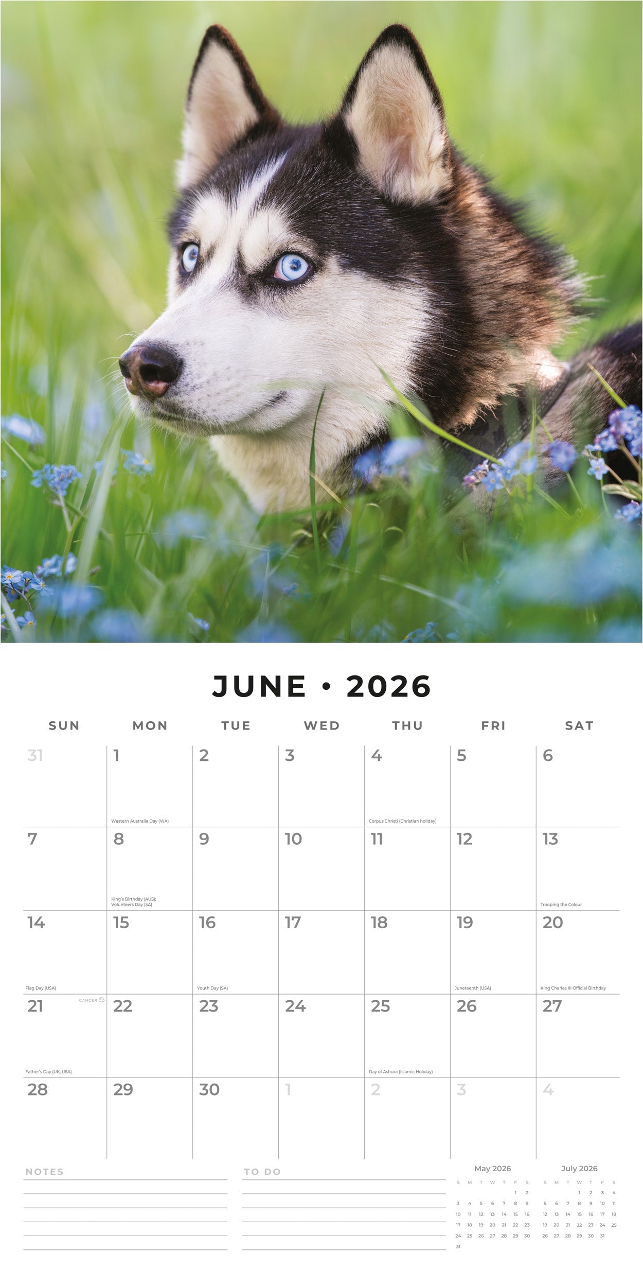 2026 Huskies - Square Wall Calendar