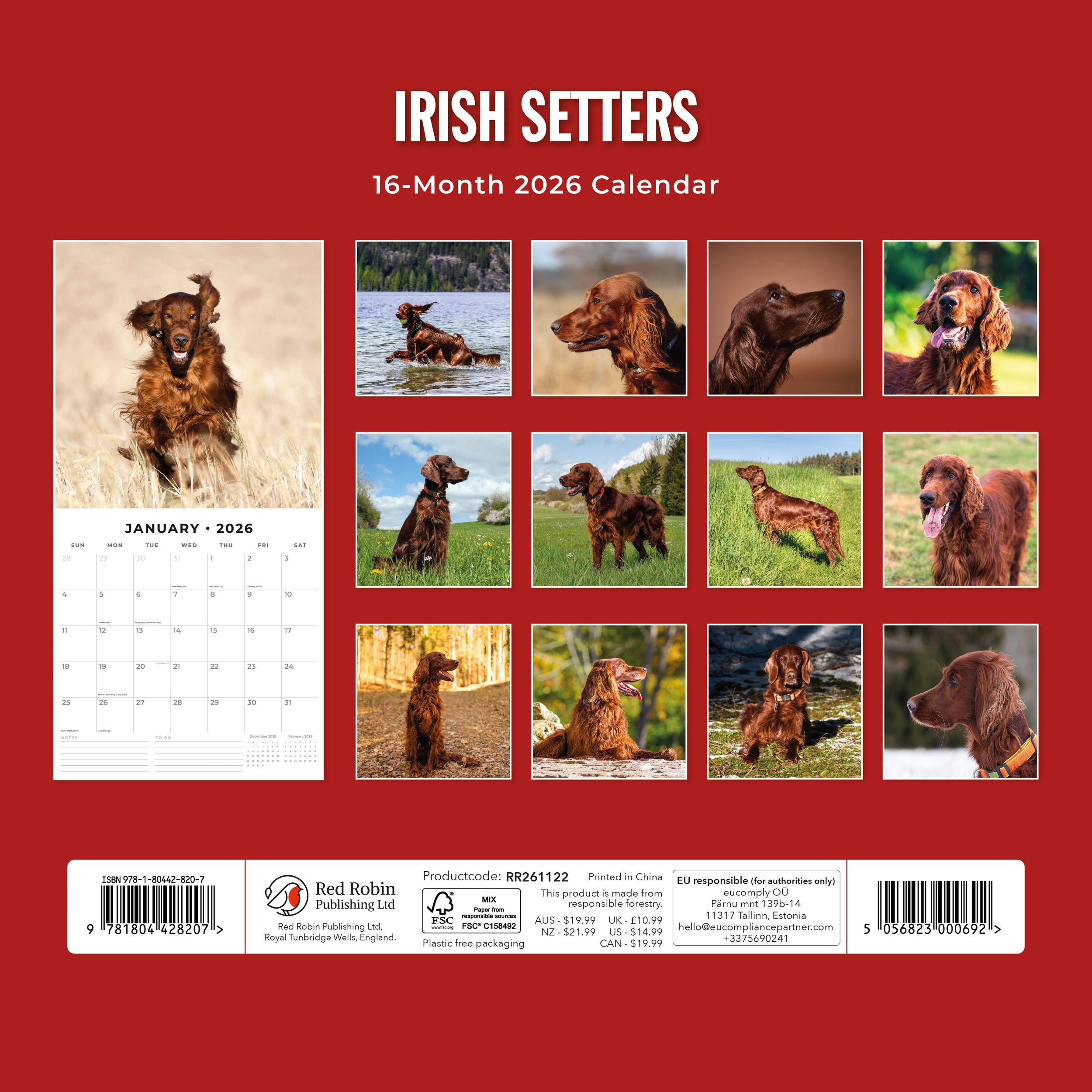 2026 Irish Setters - Square Wall Calendar