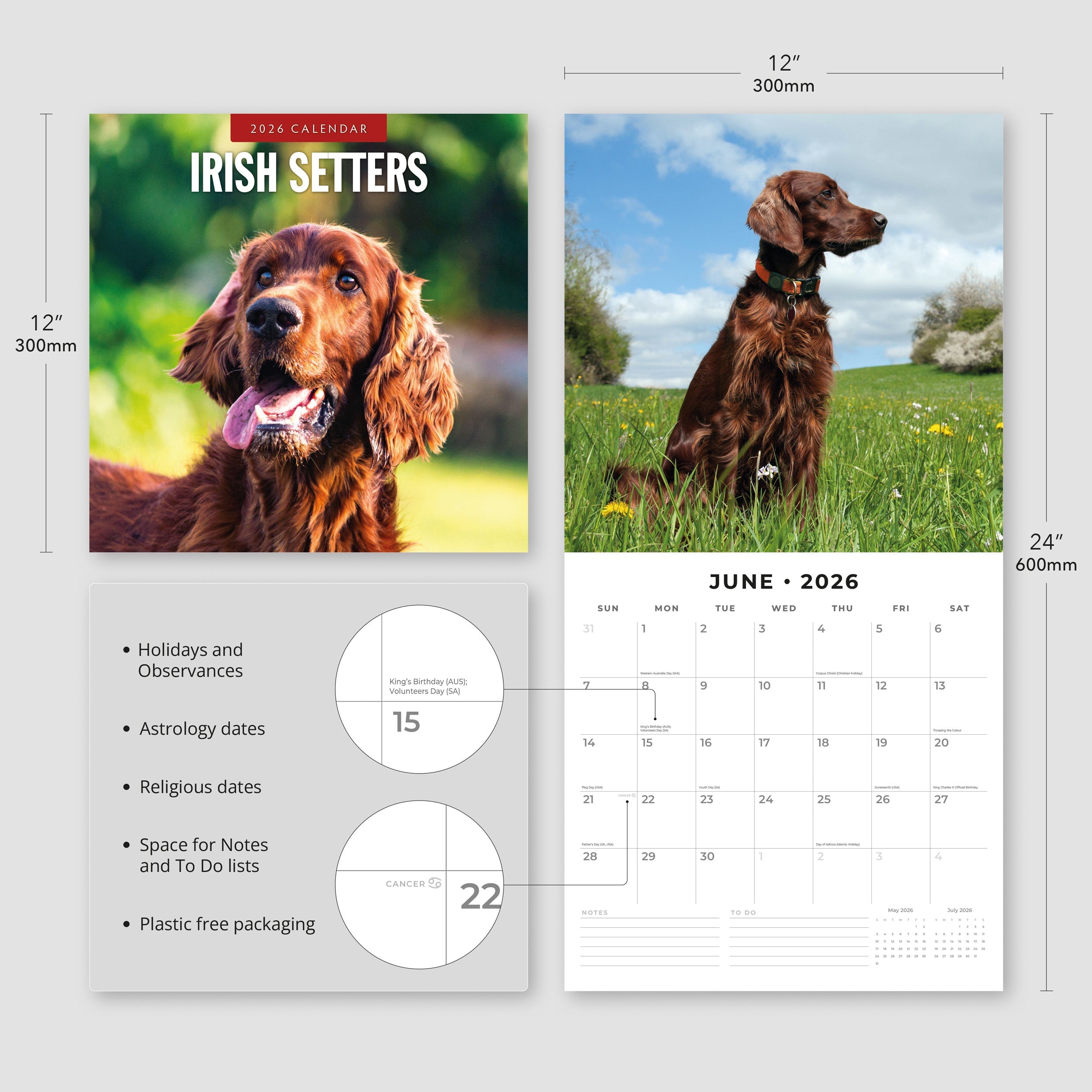 2026 Irish Setters - Square Wall Calendar