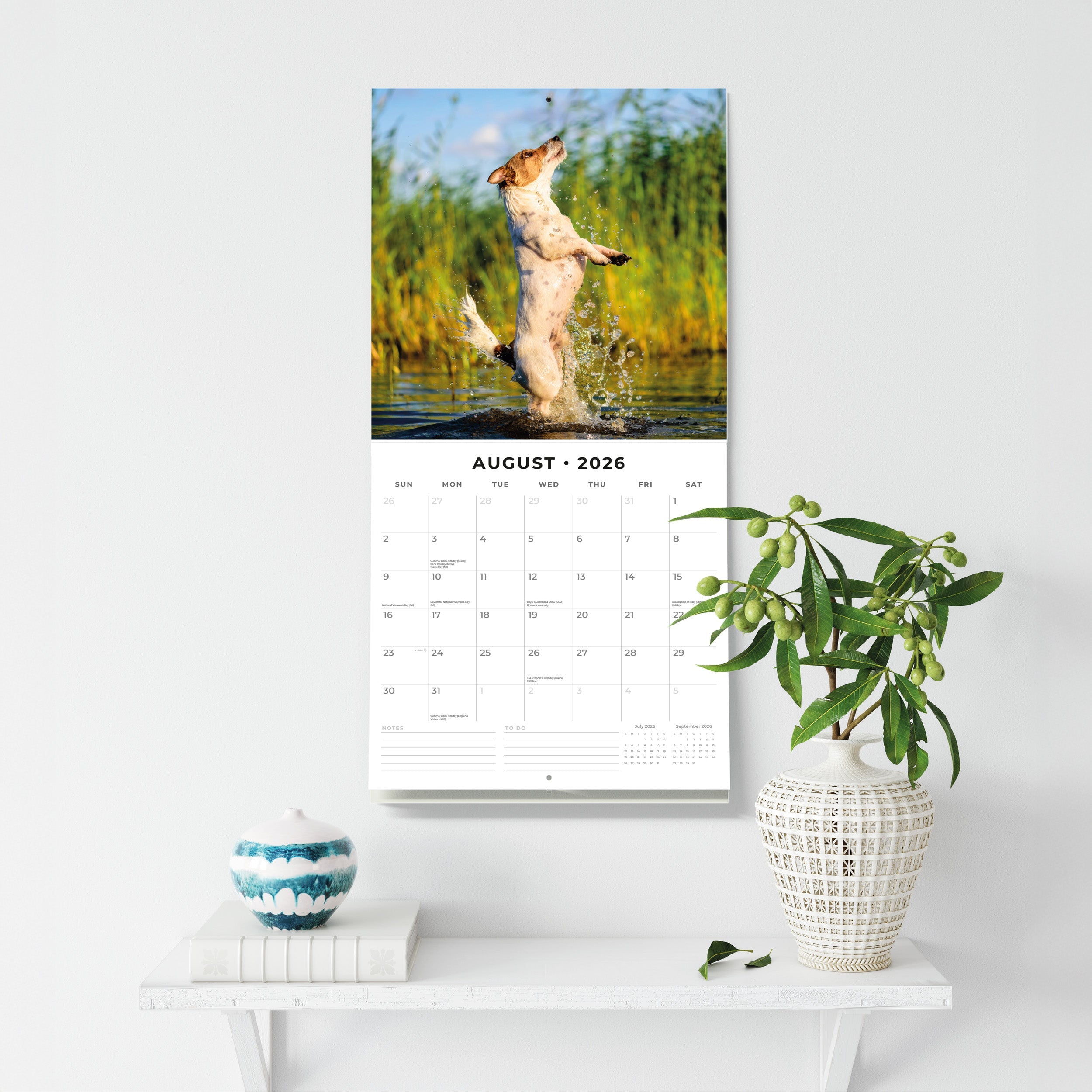 2026 Jack Russells - Square Wall Calendar