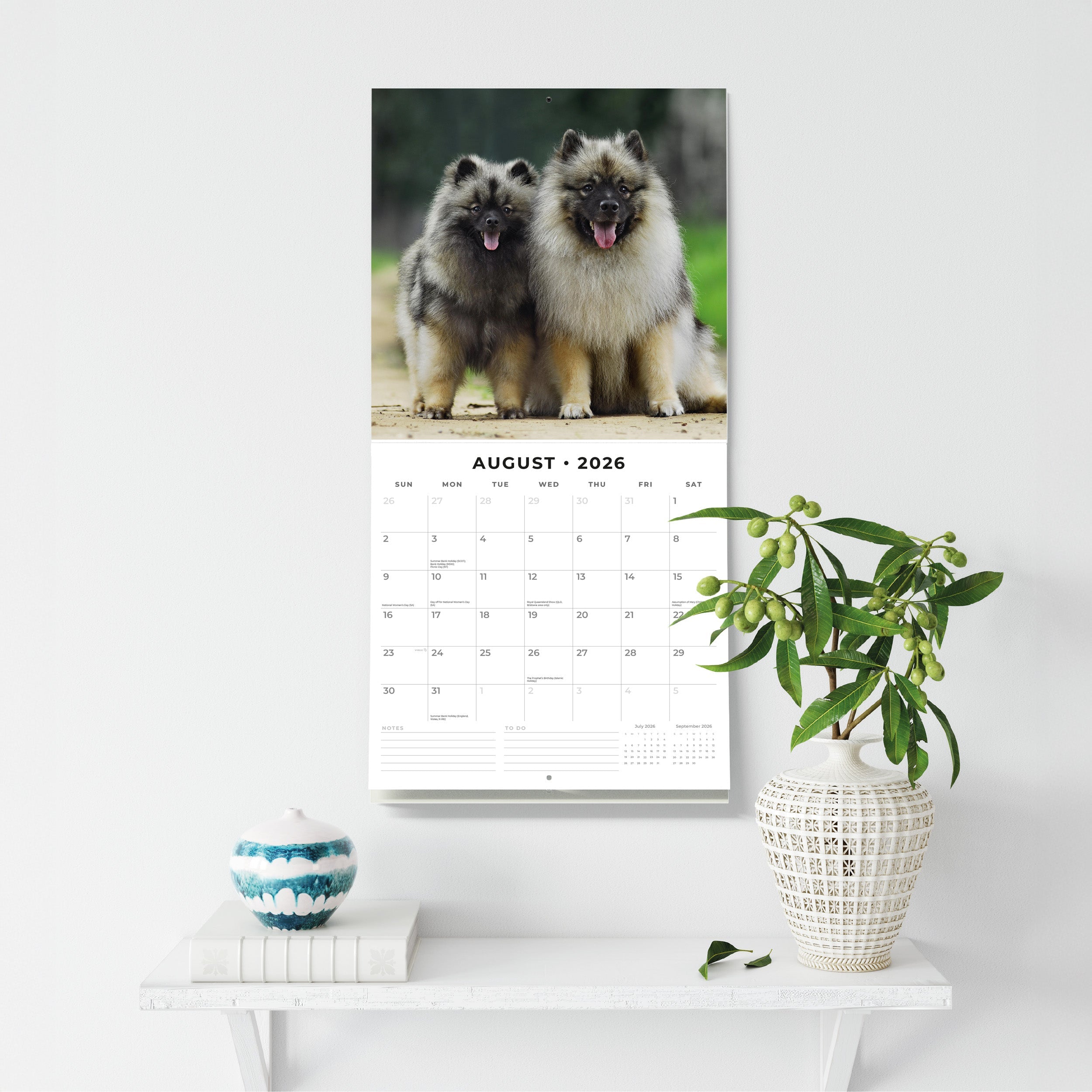 2026 Keeshonds - Square Wall Calendar