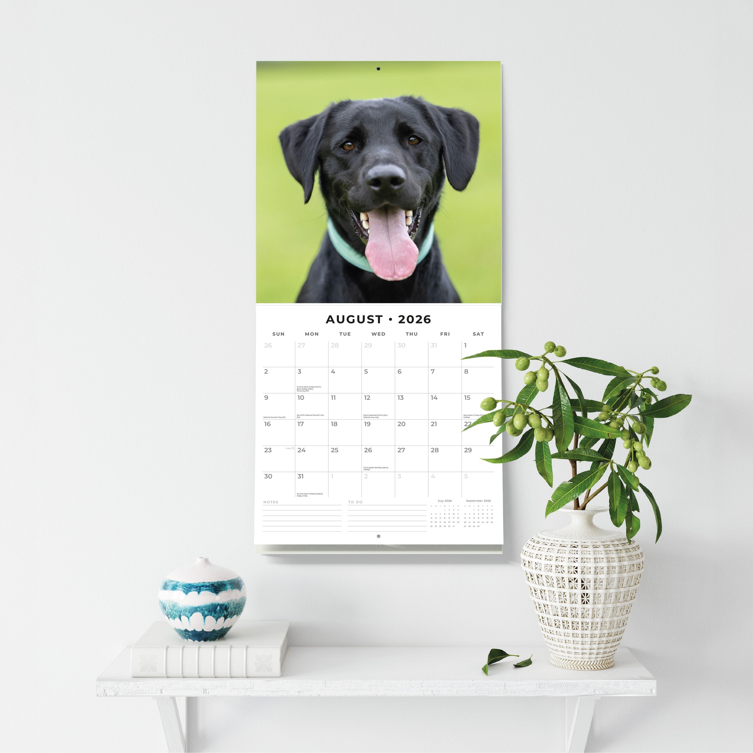 2026 Labrador Retrievers - Square Wall Calendar