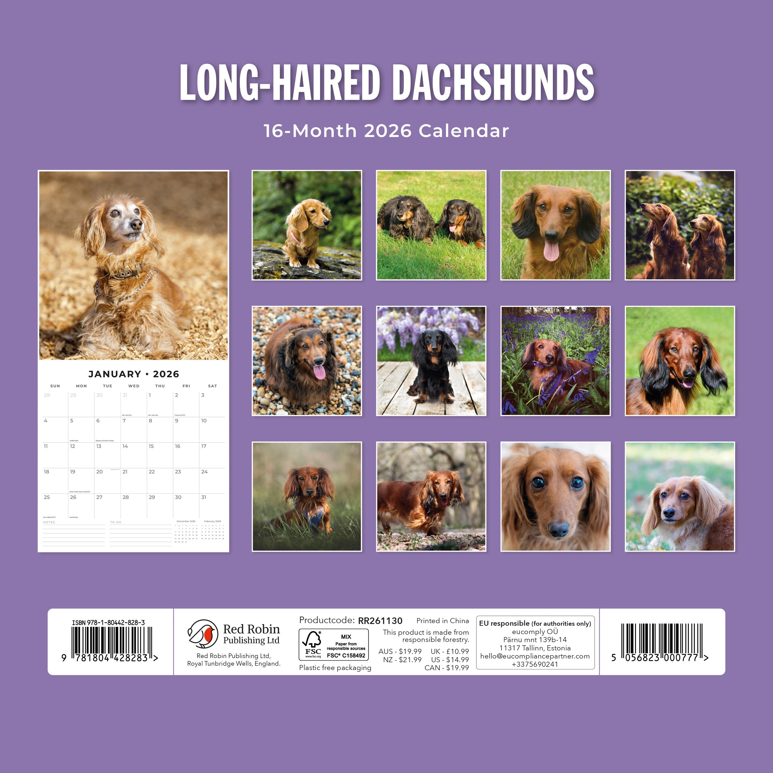 2026 Long-haired Dachshunds - Square Wall Calendar