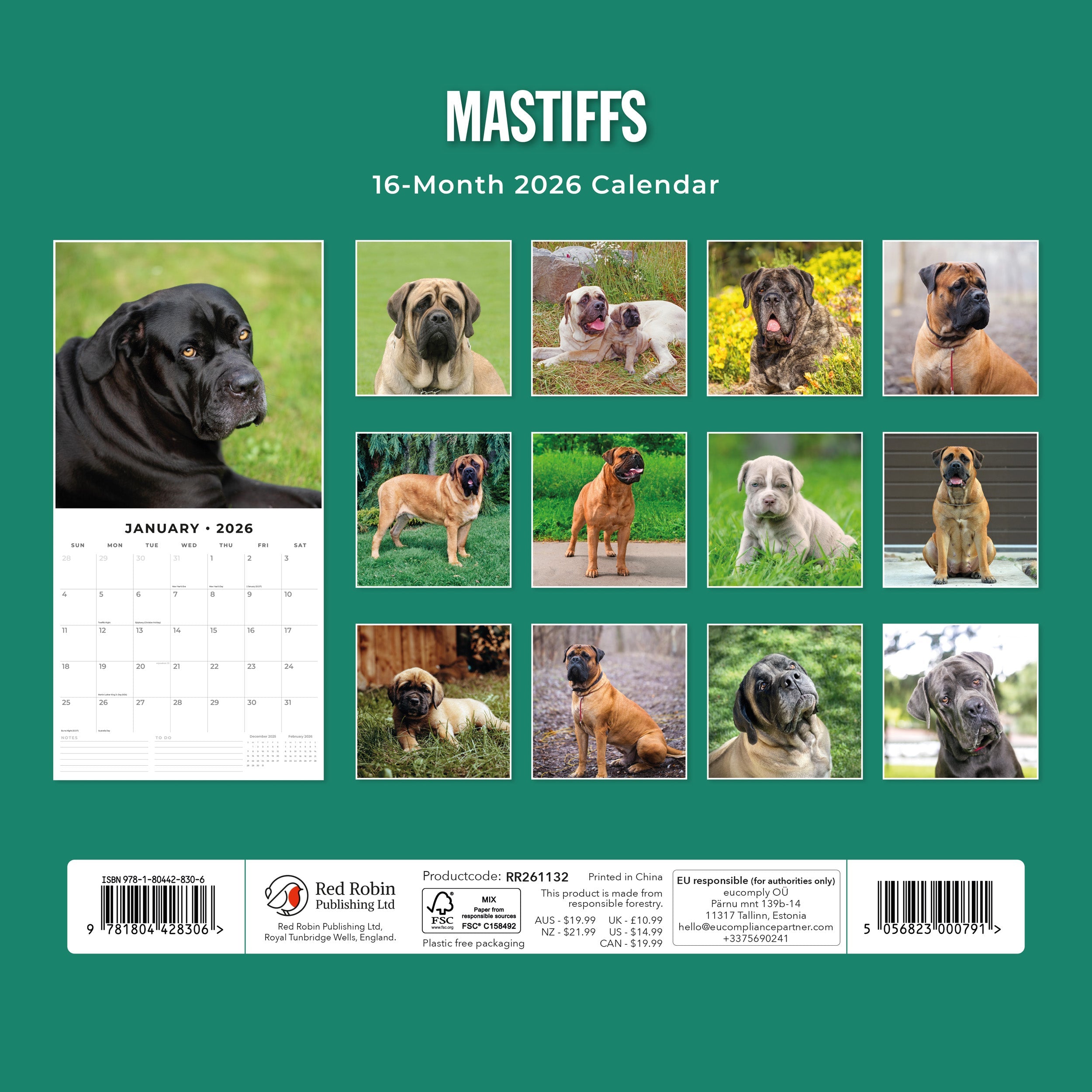 2026 Mastiffs - Square Wall Calendar