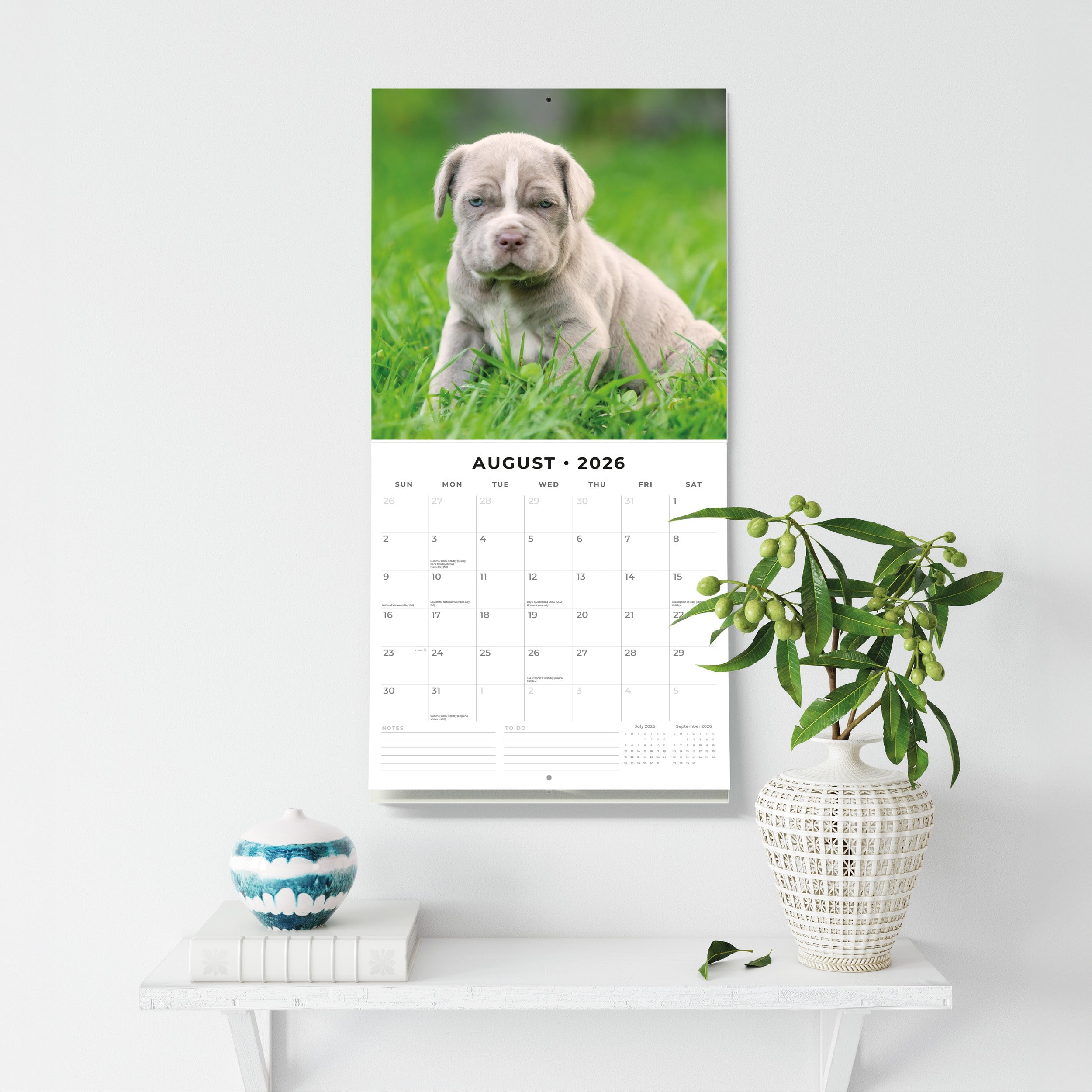 2026 Mastiffs - Square Wall Calendar