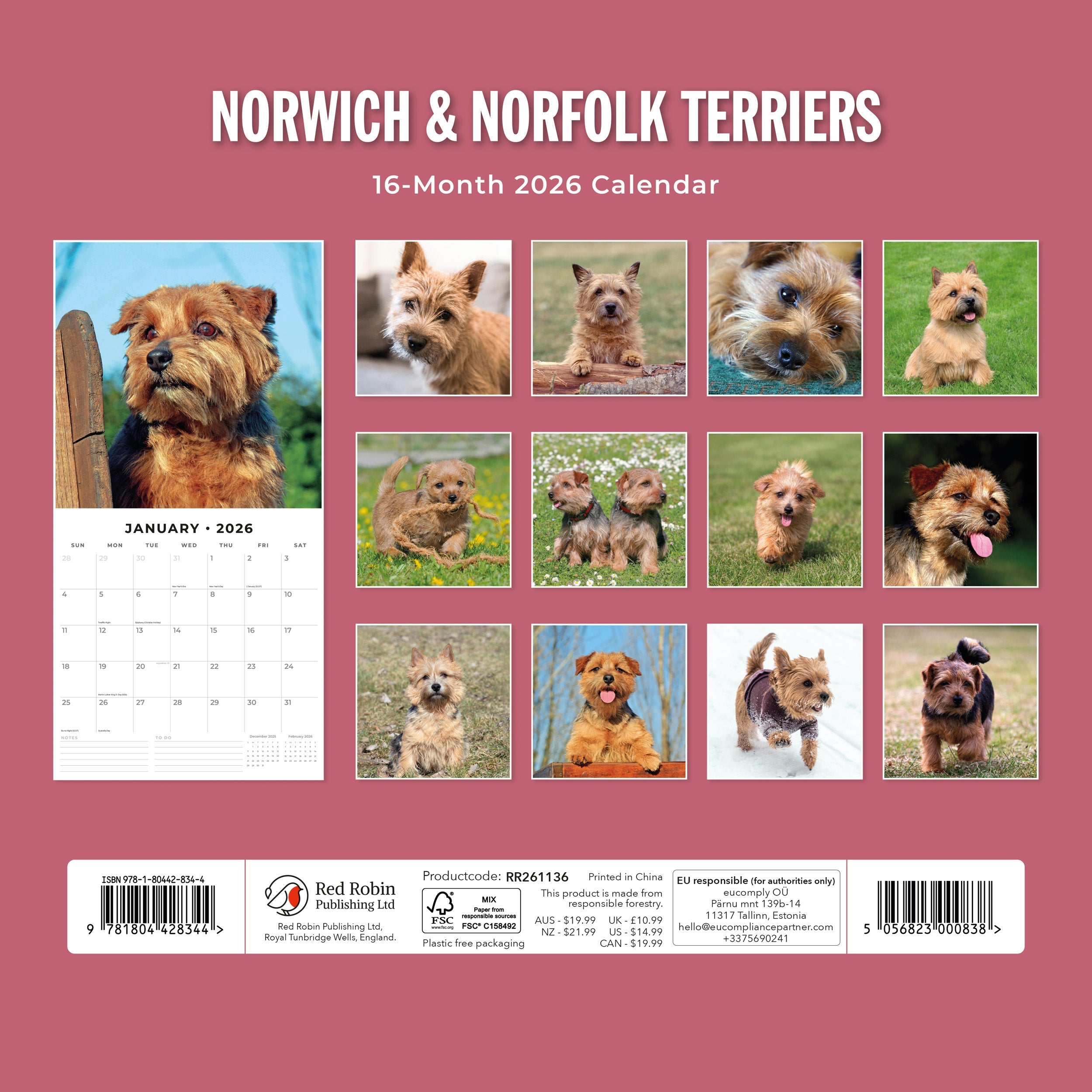 2026 Norwich & Norfolk Terriers - Square Wall Calendar