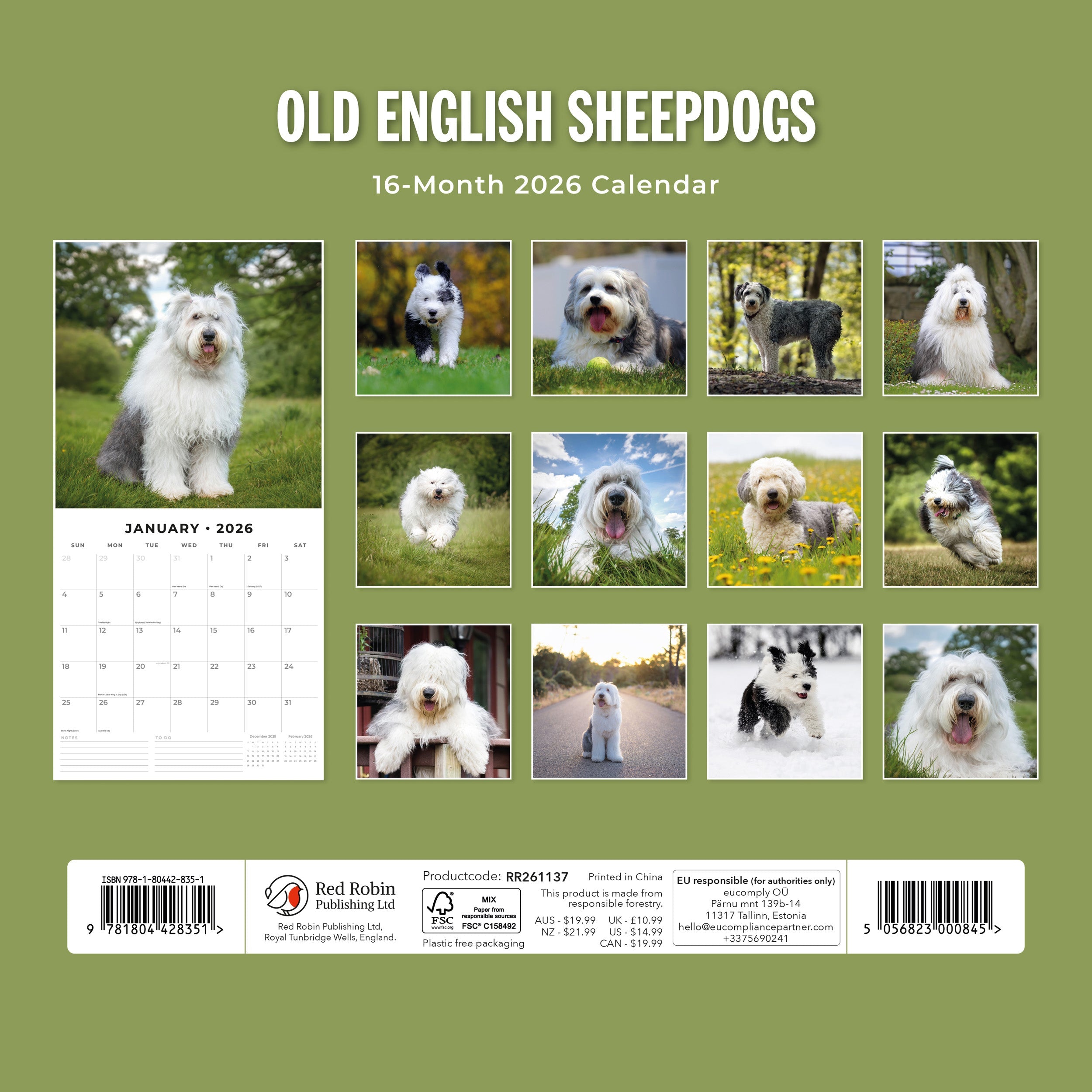 2026 Old English Sheepdogs - Square Wall Calendar