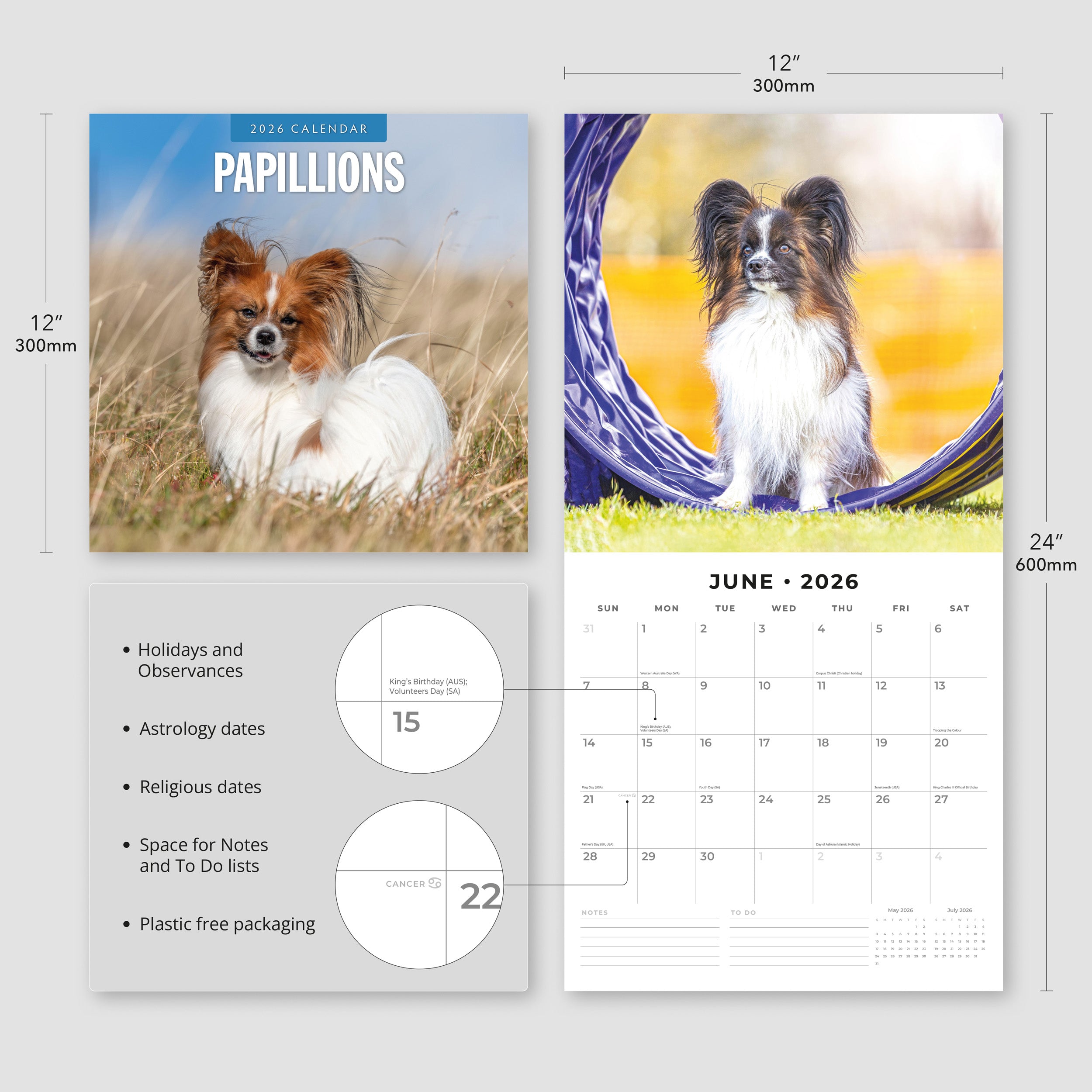 2026 Papillions - Square Wall Calendar
