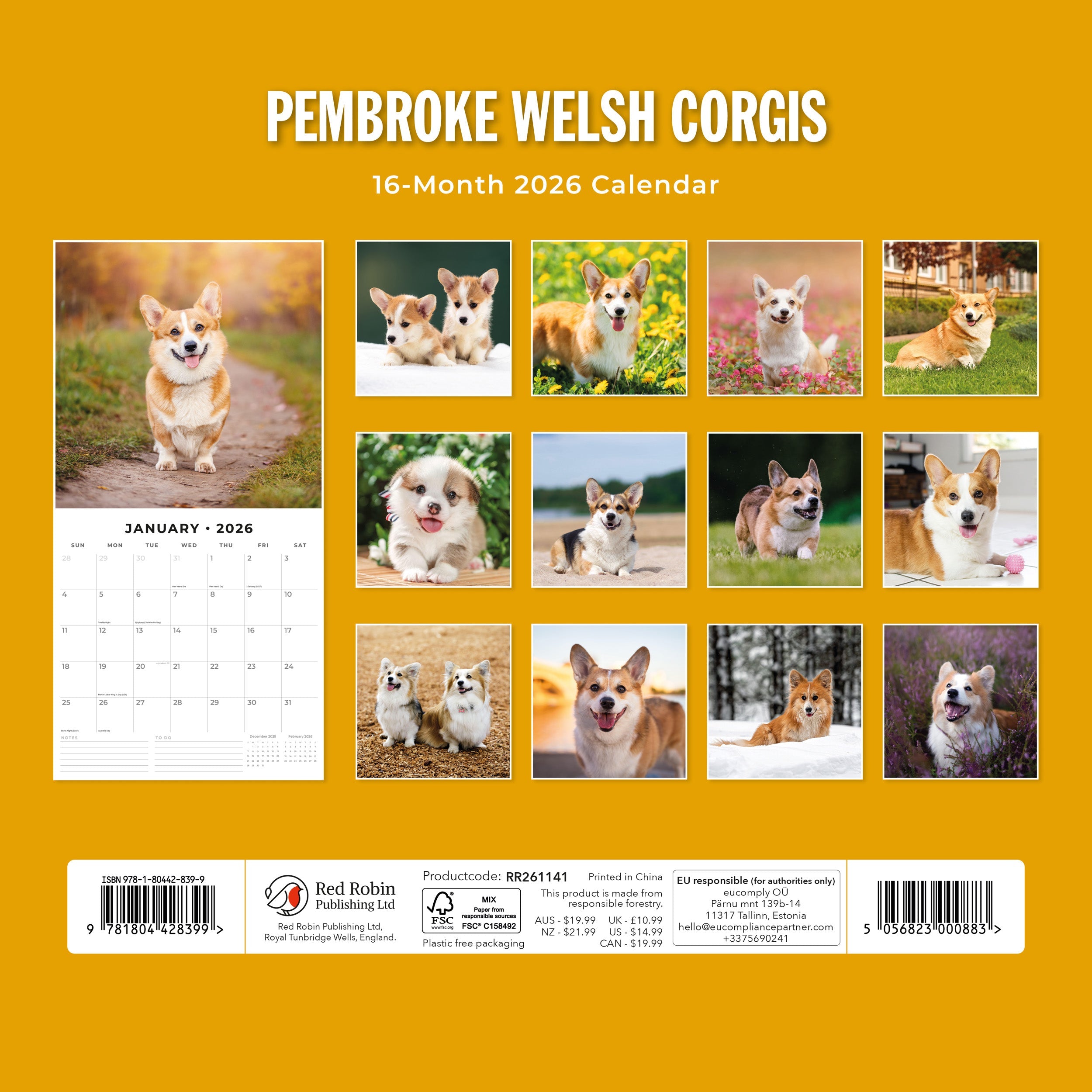 2026 Pembroke Welsh Corgis - Square Wall Calendar
