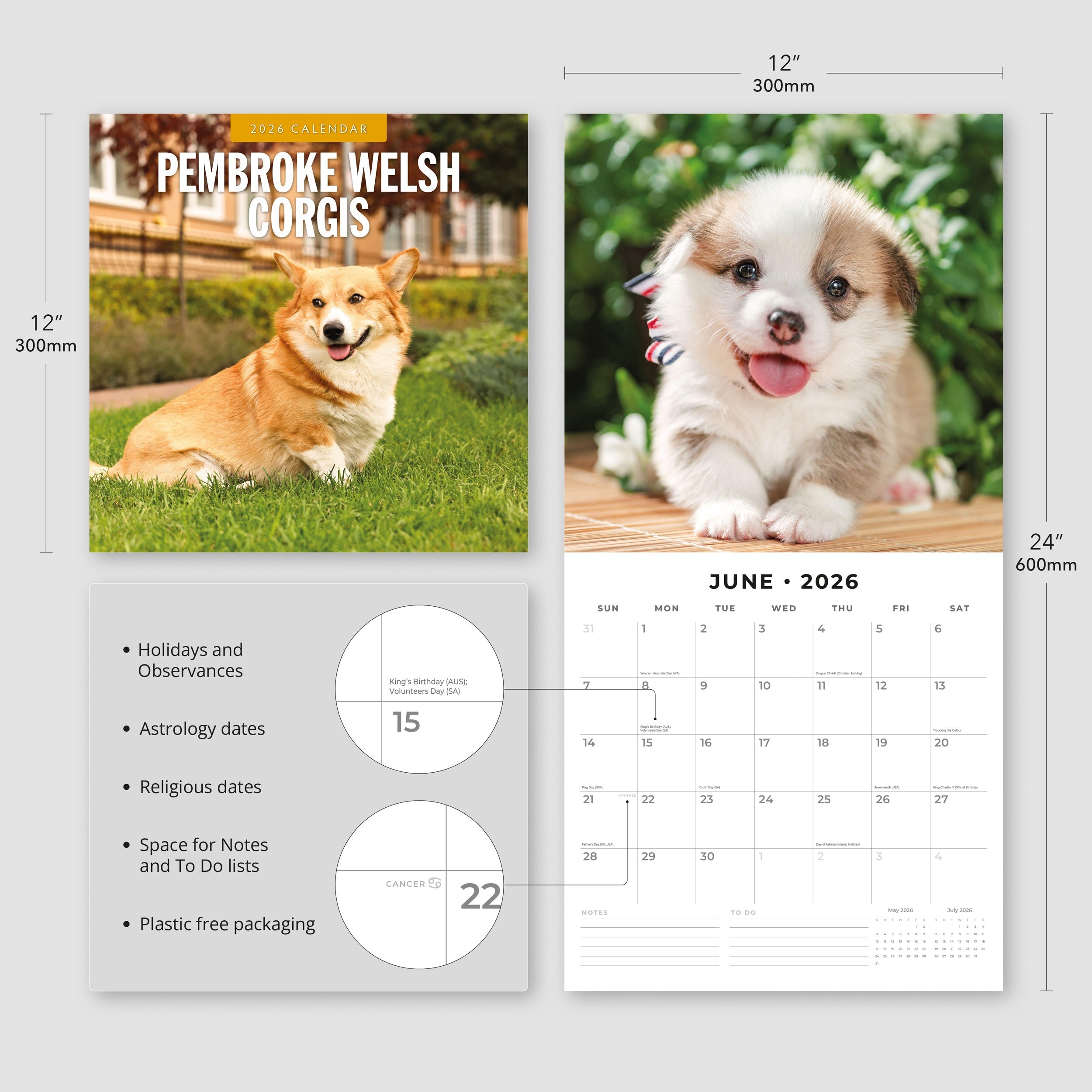 2026 Pembroke Welsh Corgis - Square Wall Calendar
