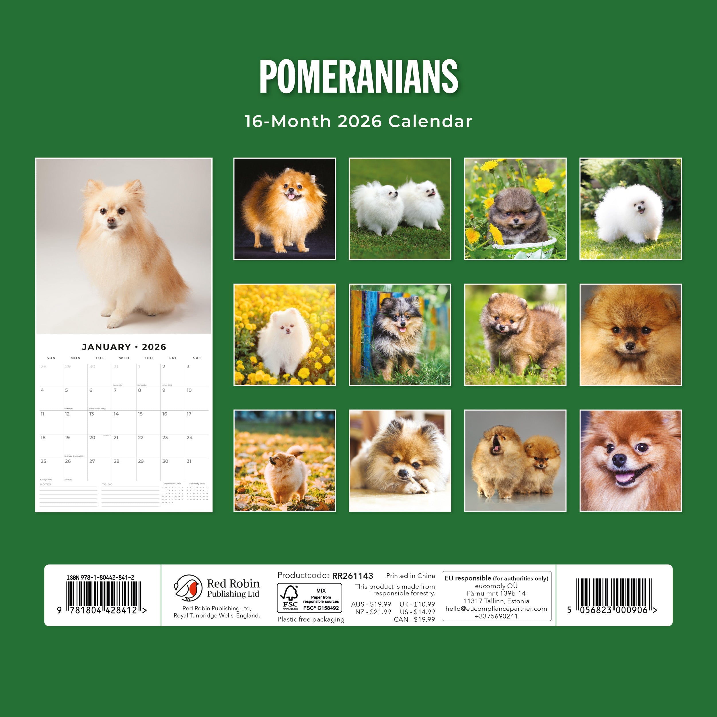 2026 Pomeranians - Square Wall Calendar