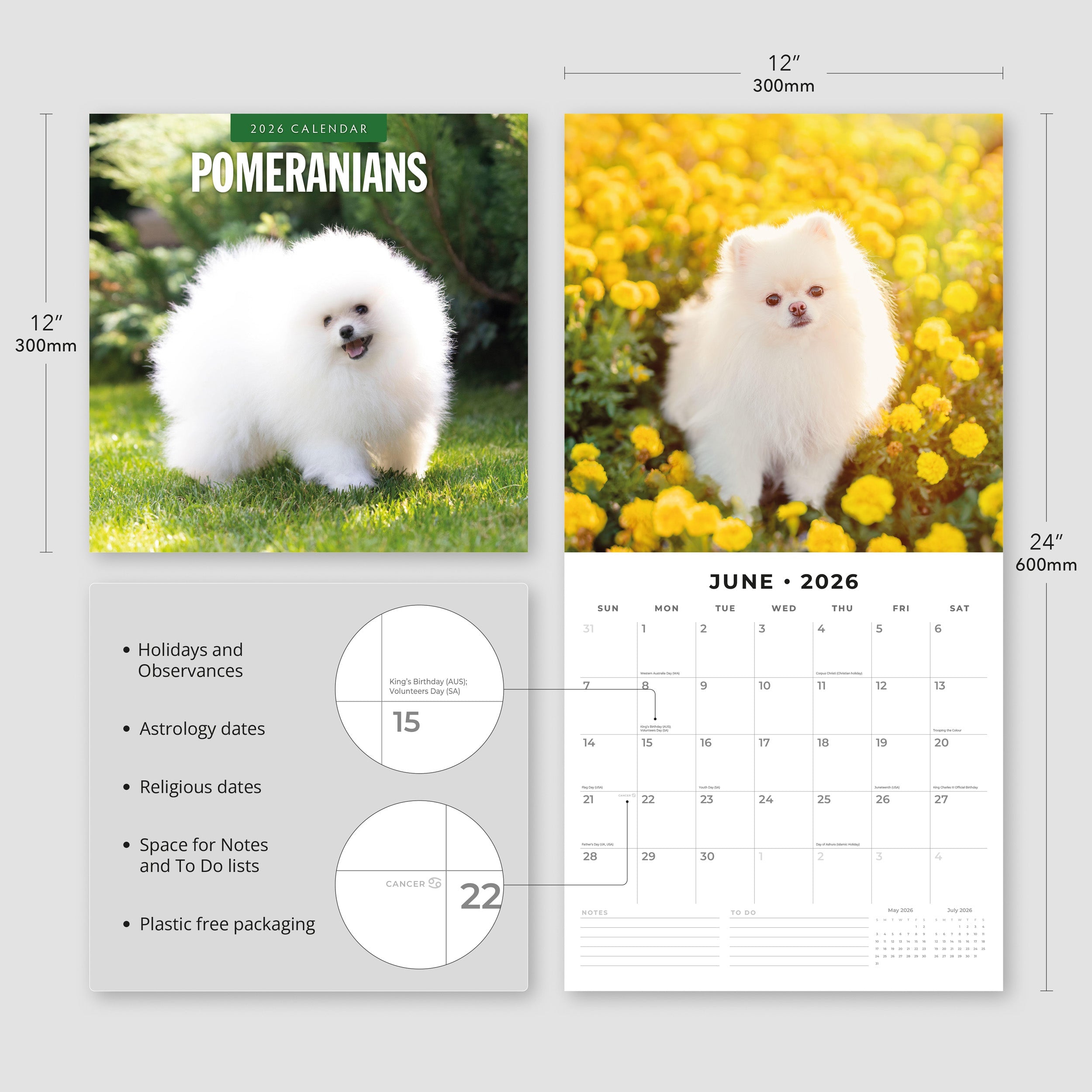 2026 Pomeranians - Square Wall Calendar