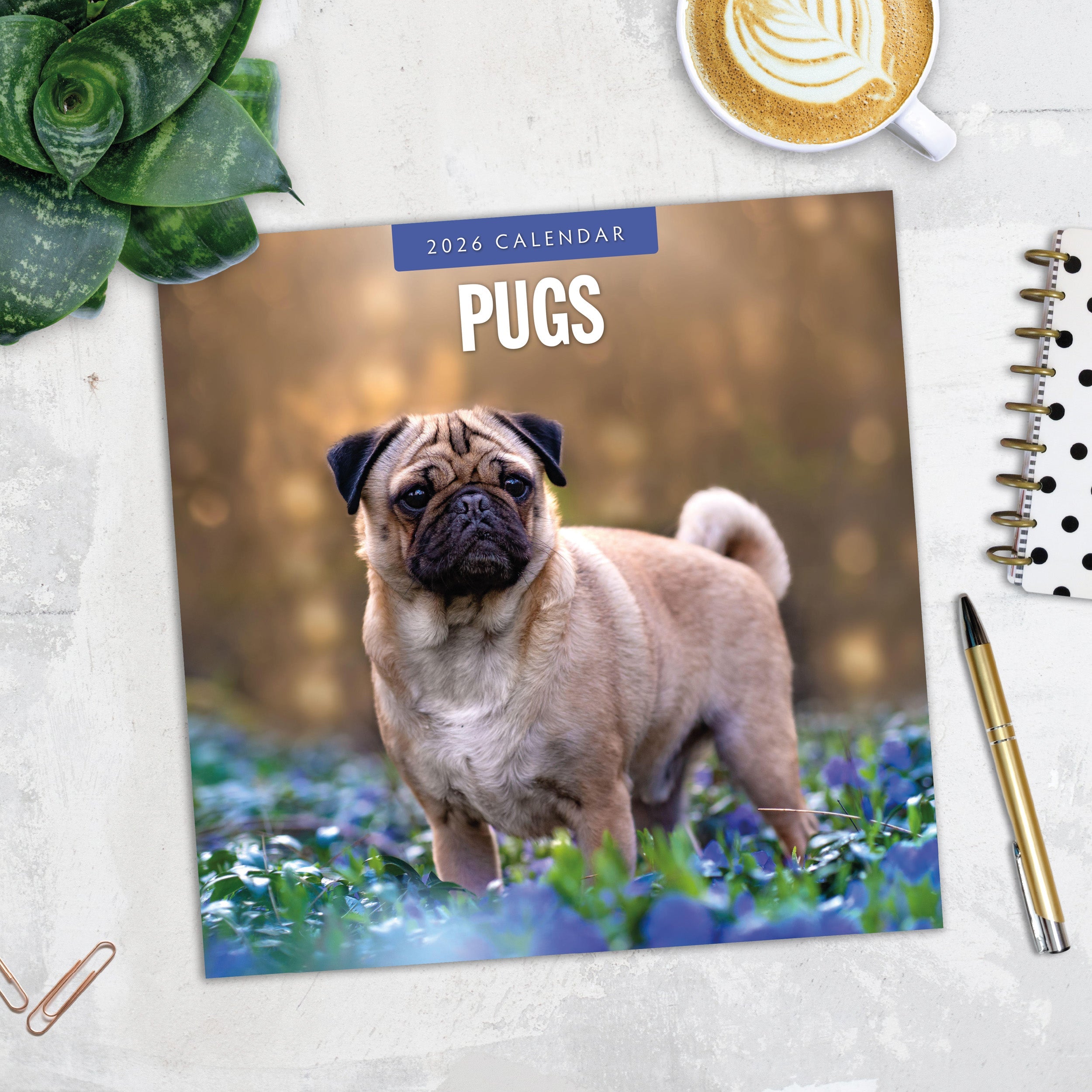 2026 Pugs - Square Wall Calendar
