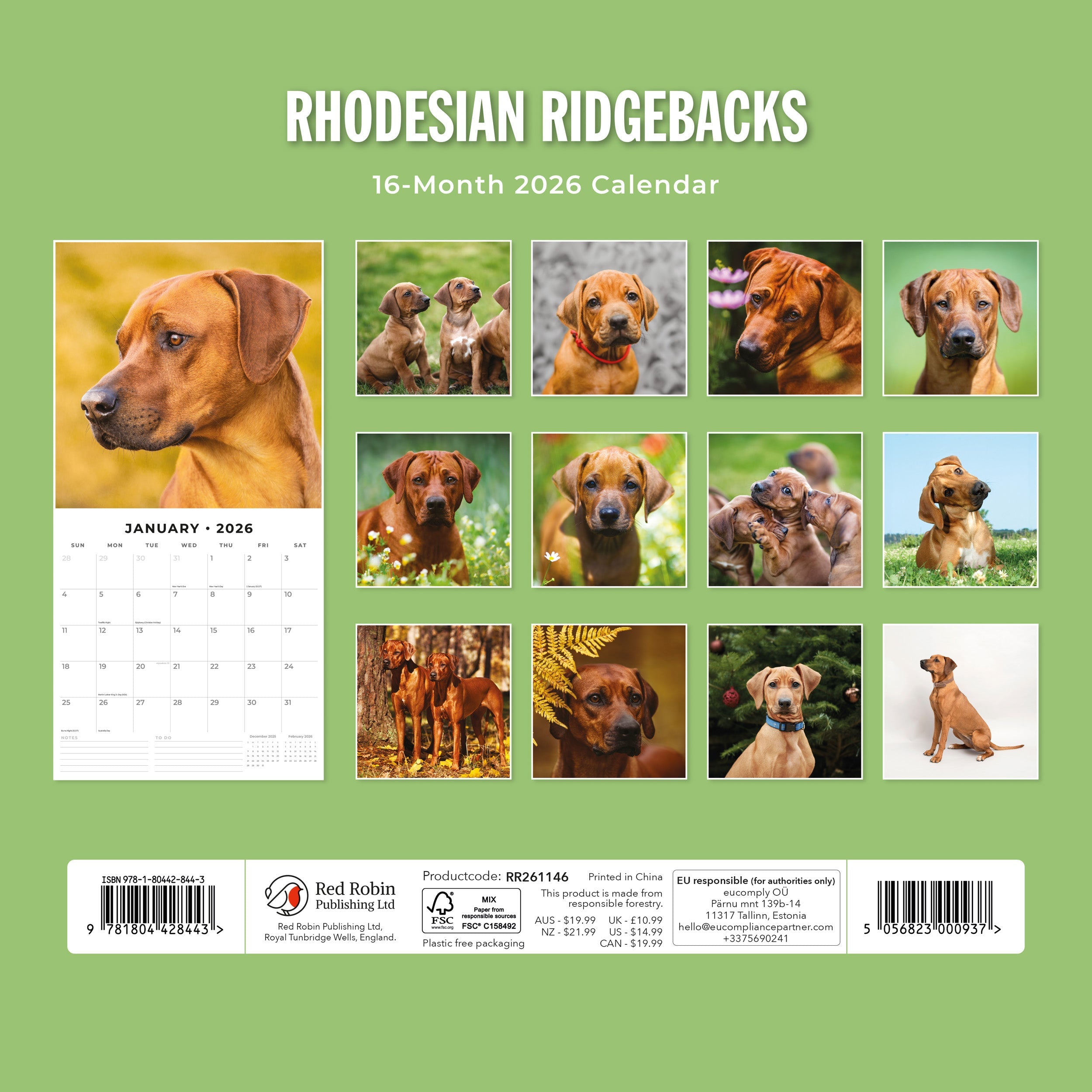 2026 Rhodesian Ridgebacks - Square Wall Calendar