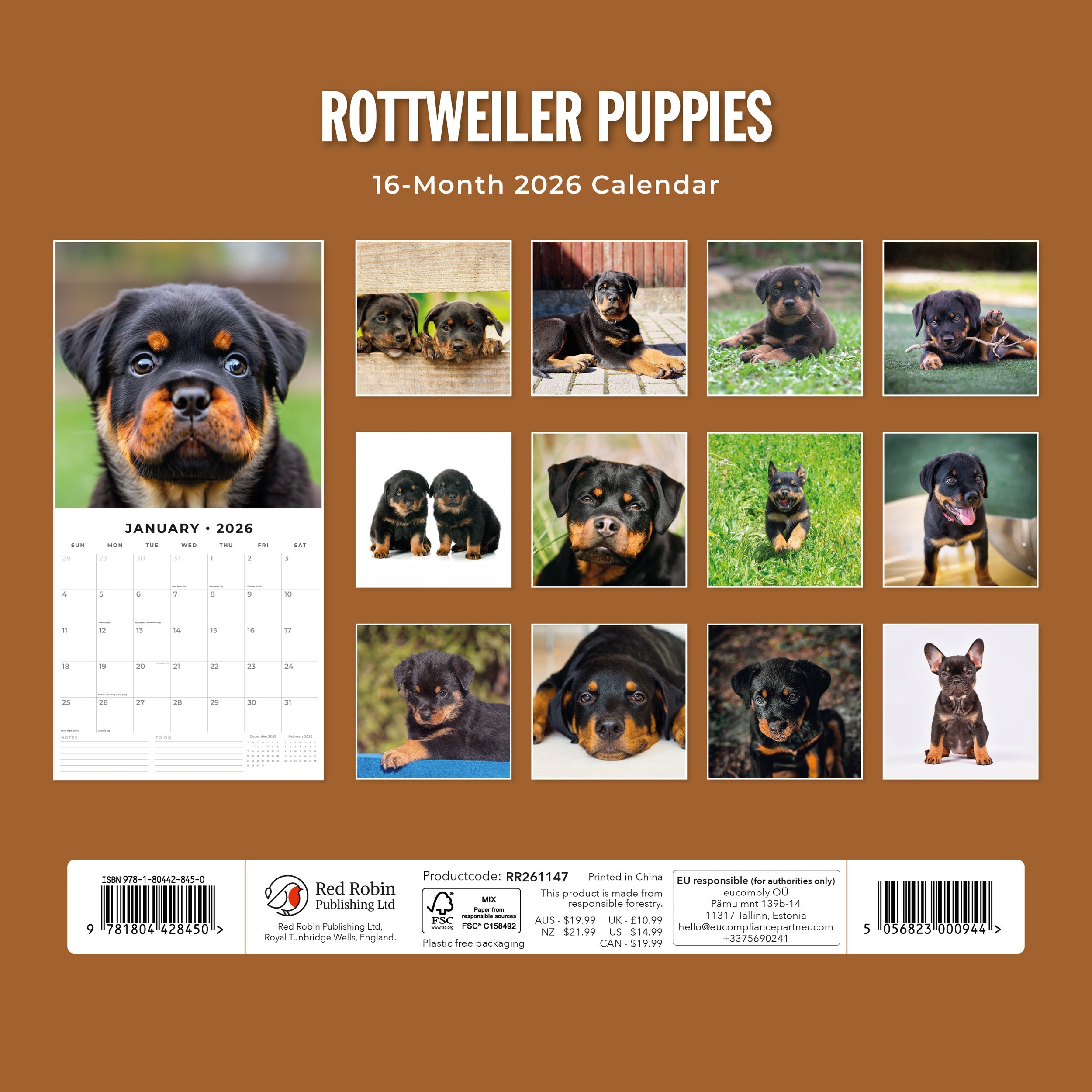 2026 Rottweiler Puppies - Square Wall Calendar