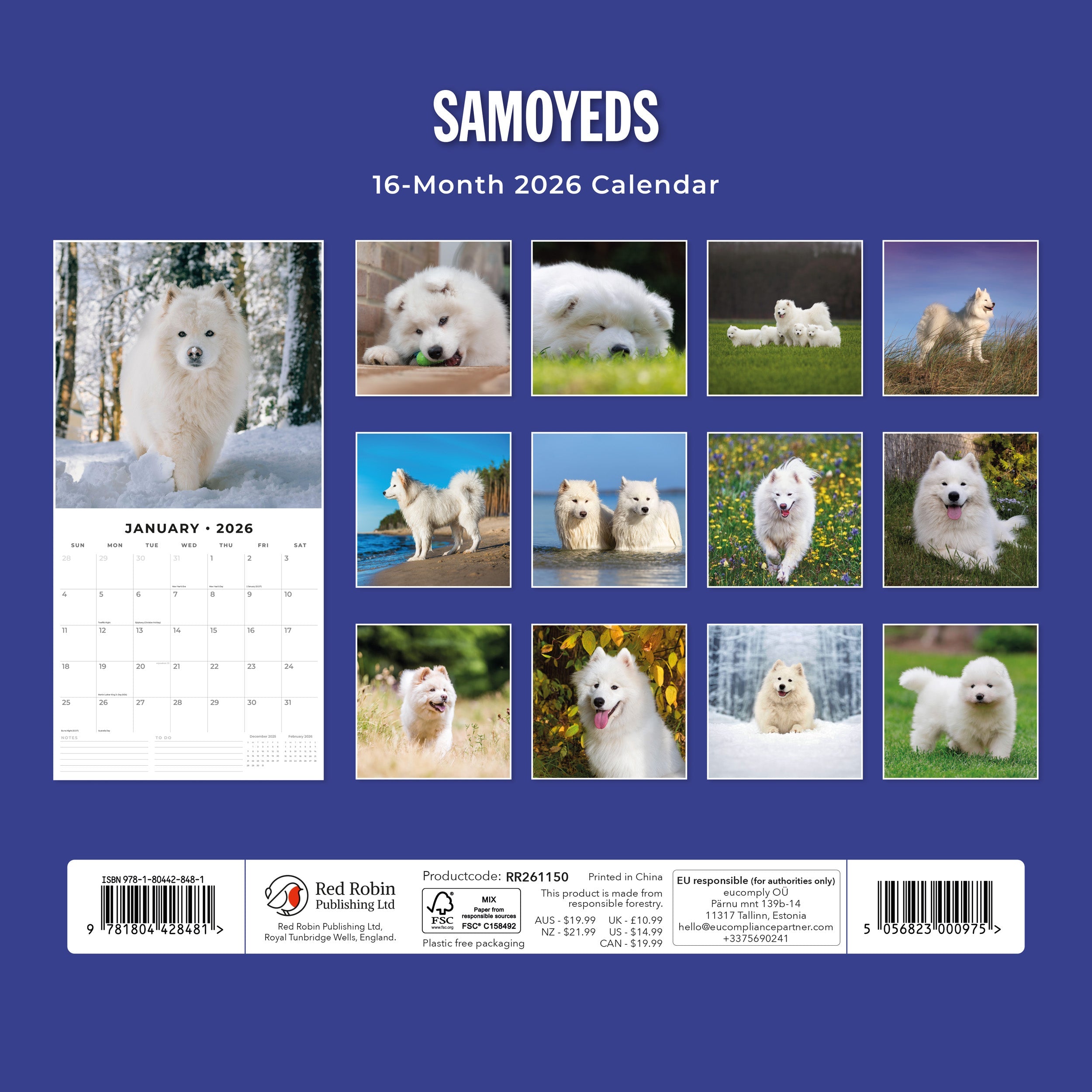2026 Samoyeds - Square Wall Calendar