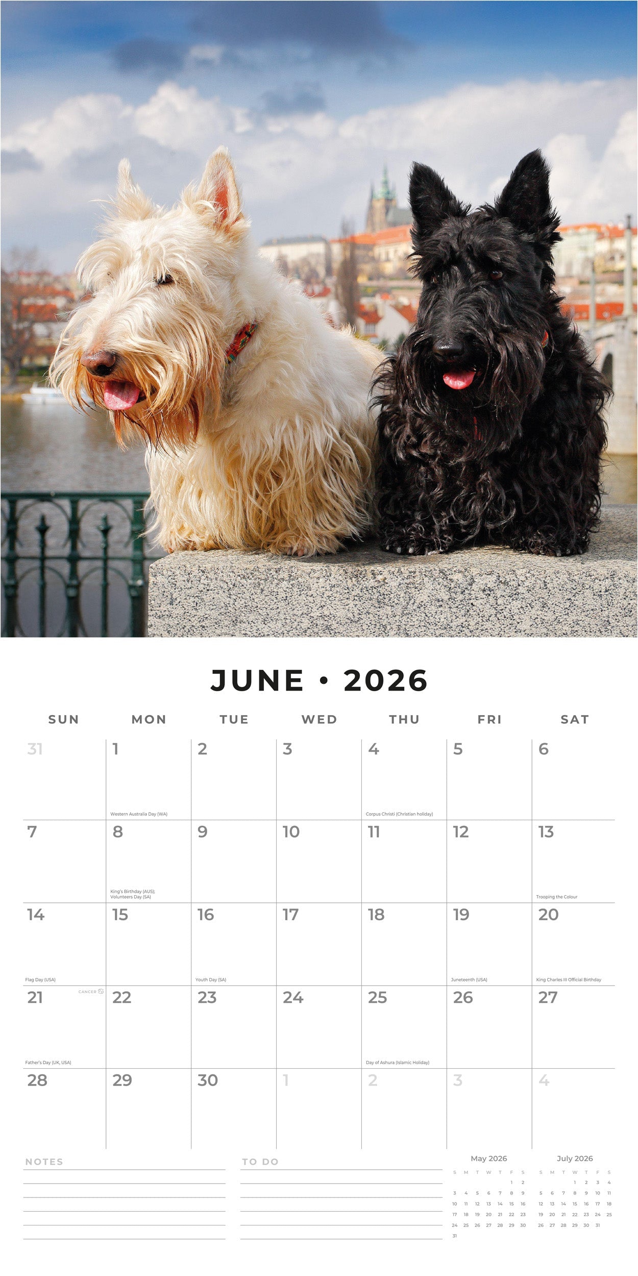 2026 Scottish Terriers - Square Wall Calendar
