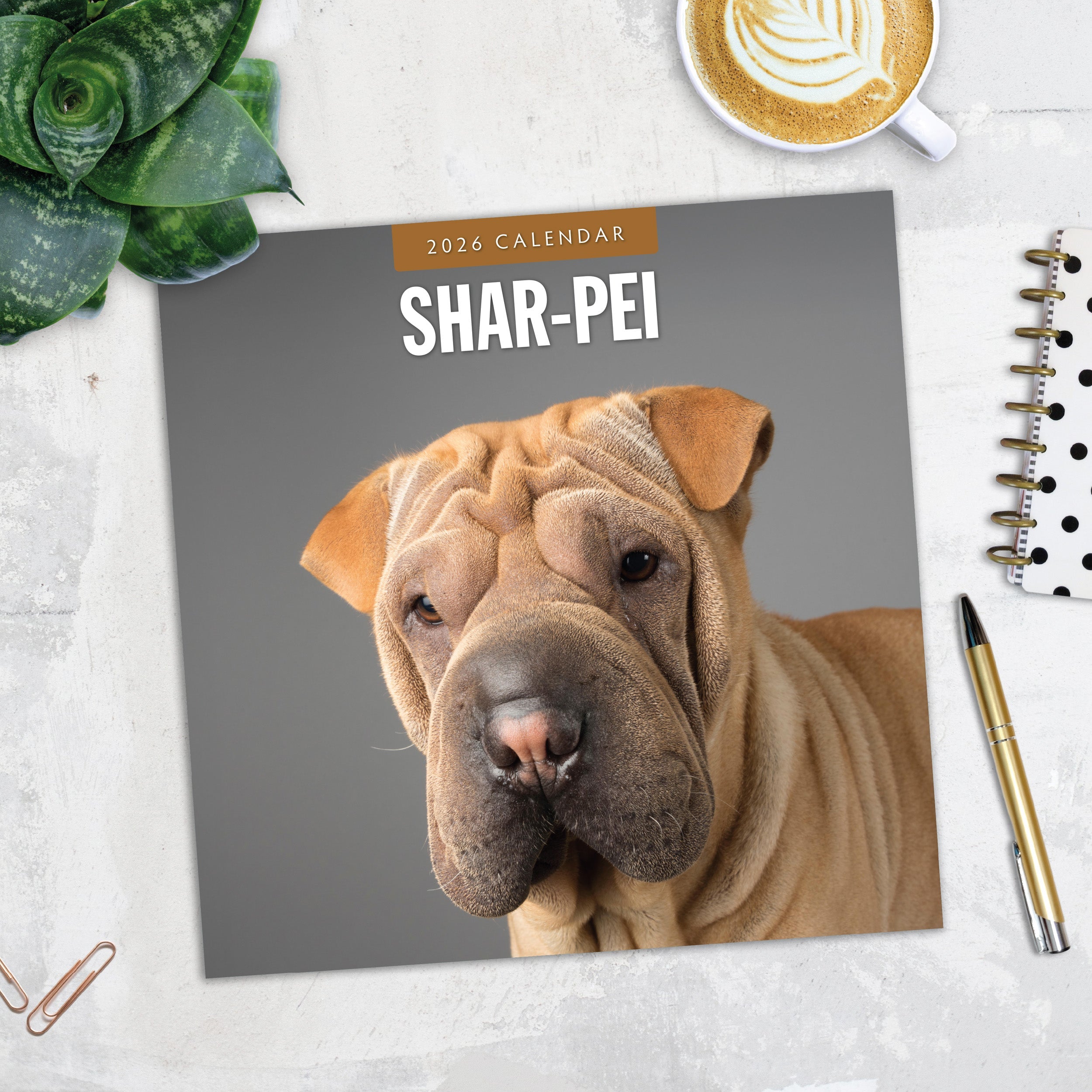 2026 Shar-Pei - Square Wall Calendar