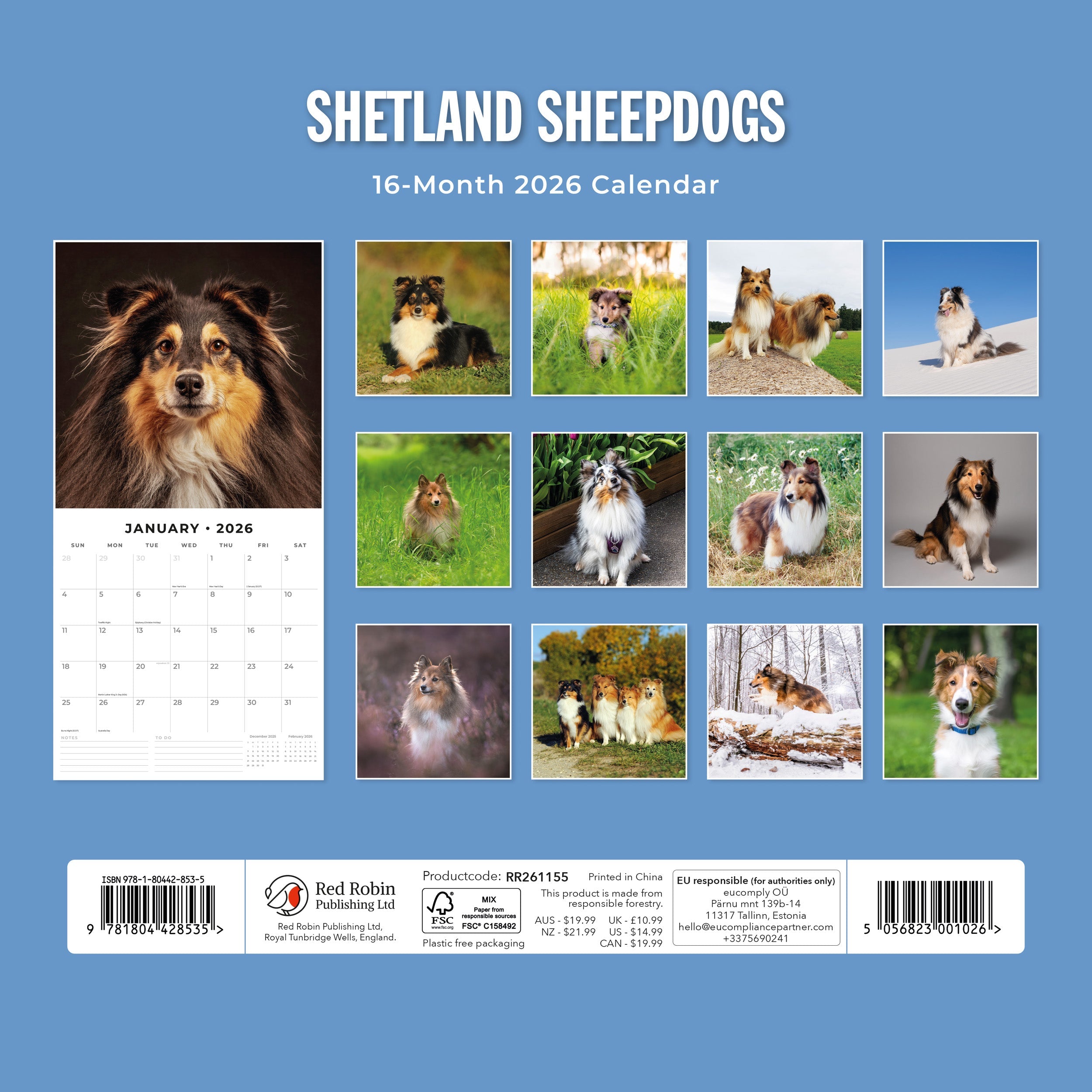 2026 Shetland Sheepdogs - Square Wall Calendar