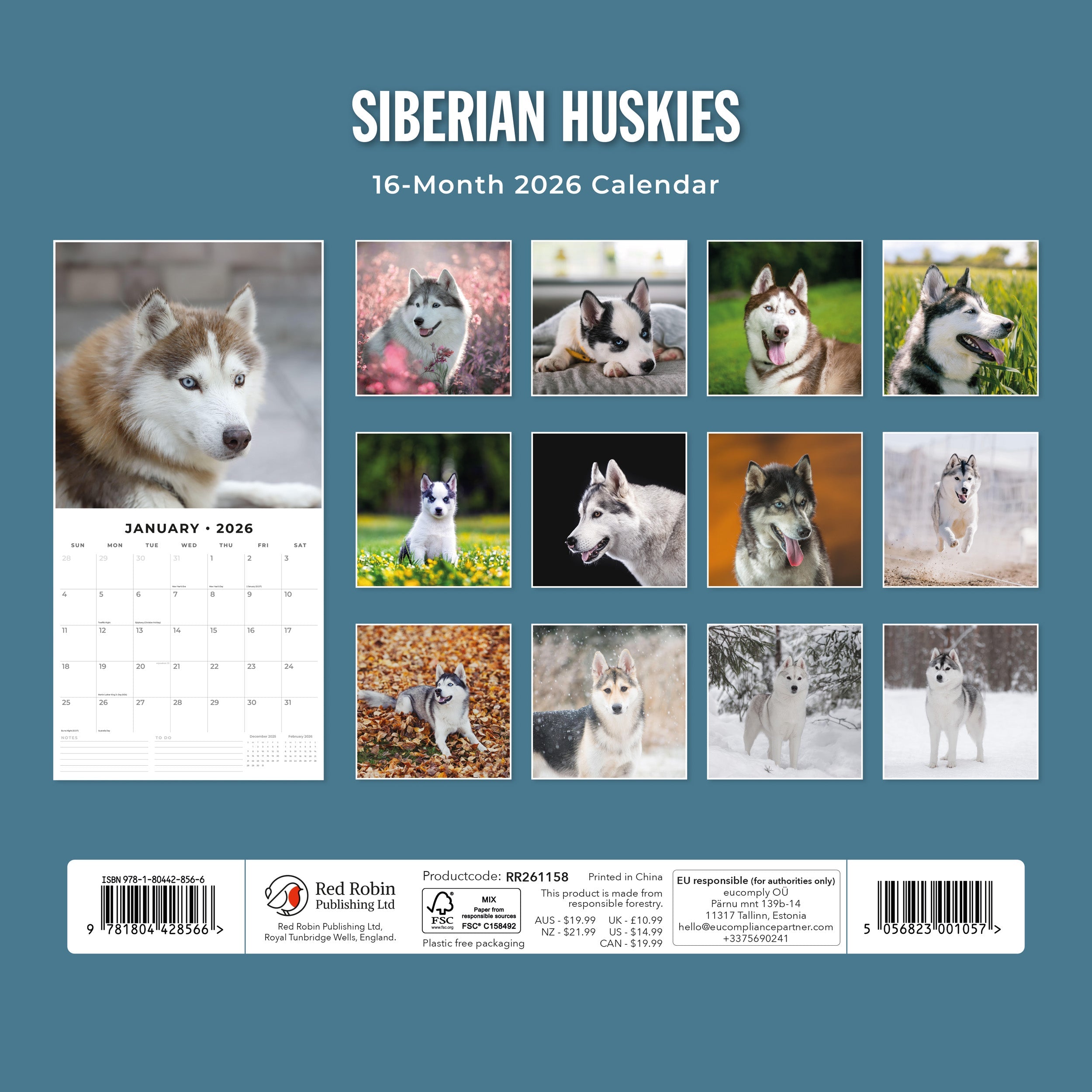2026 Siberian Huskies - Square Wall Calendar