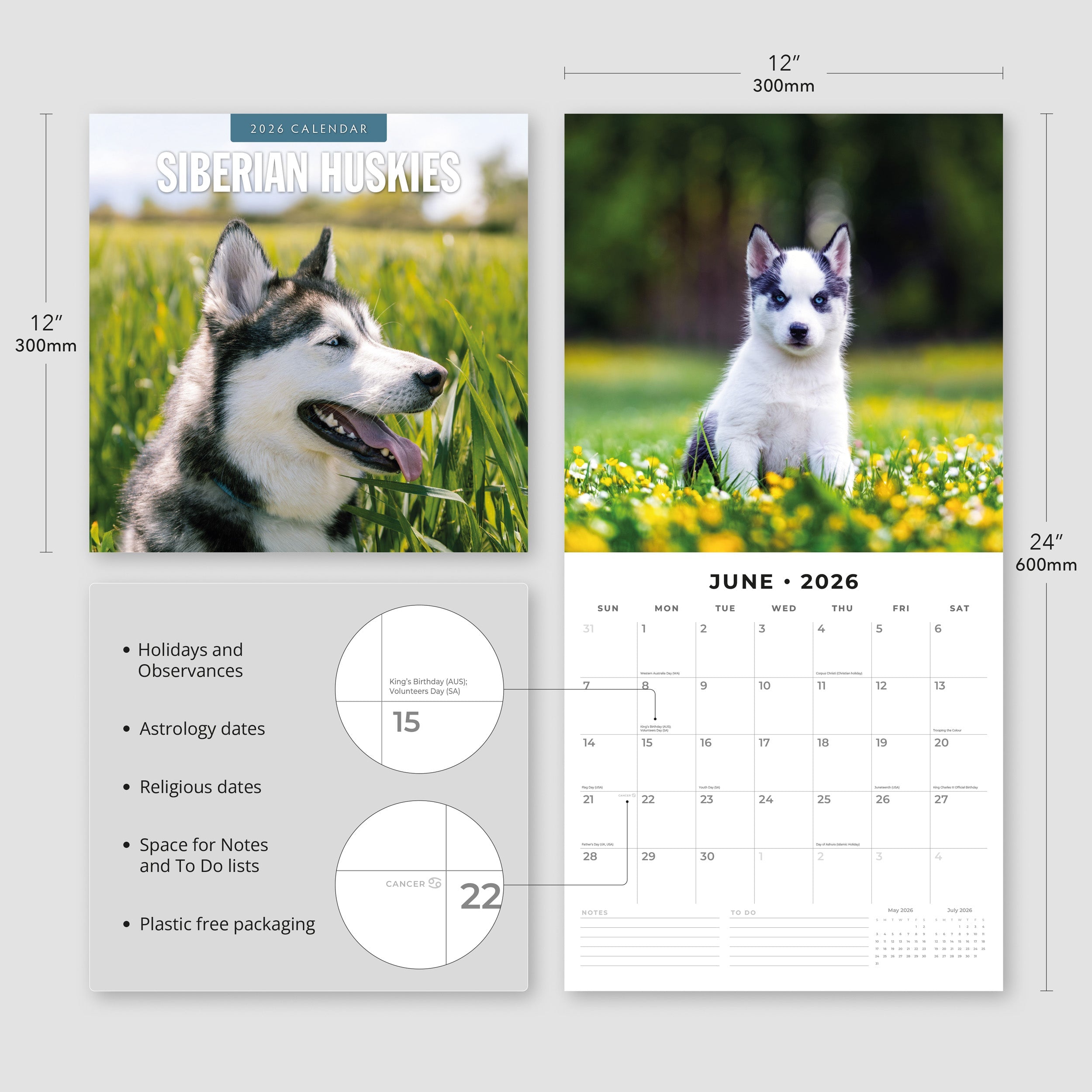 2026 Siberian Huskies - Square Wall Calendar