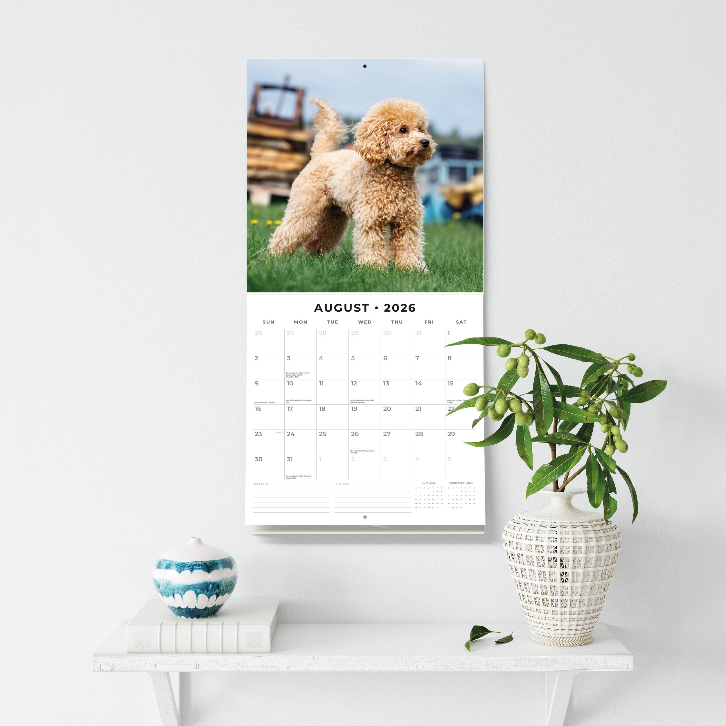 2026 Toy and Miniature Poodles - Square Wall Calendar
