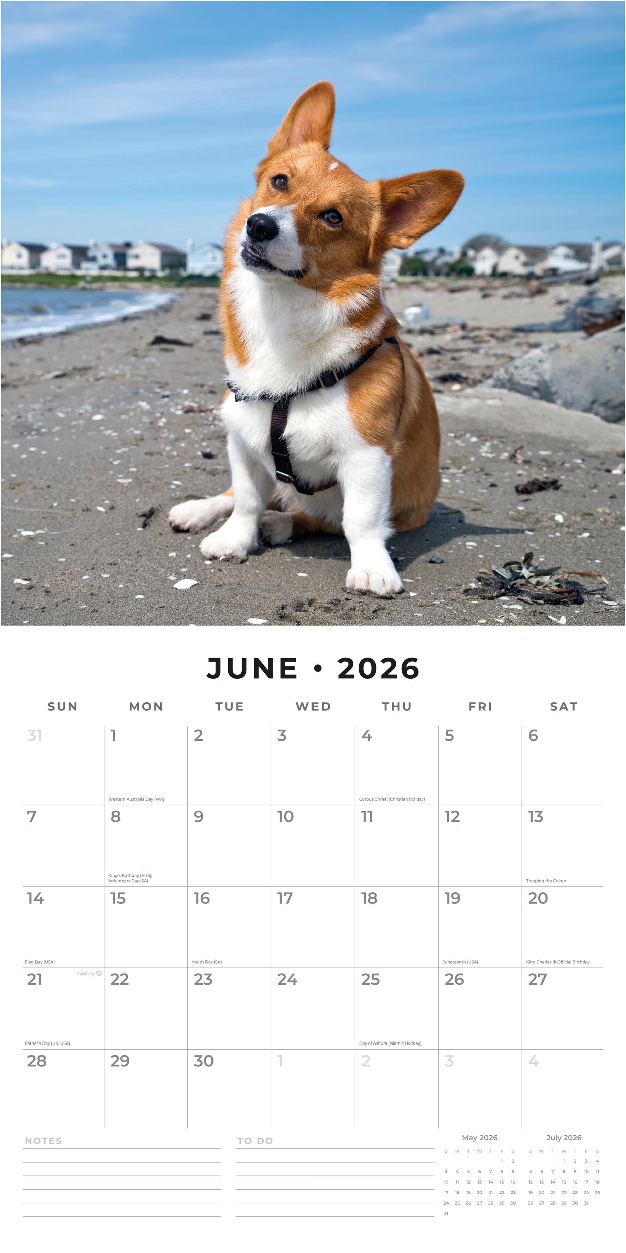 2026 Welsh Corgis - Square Wall Calendar