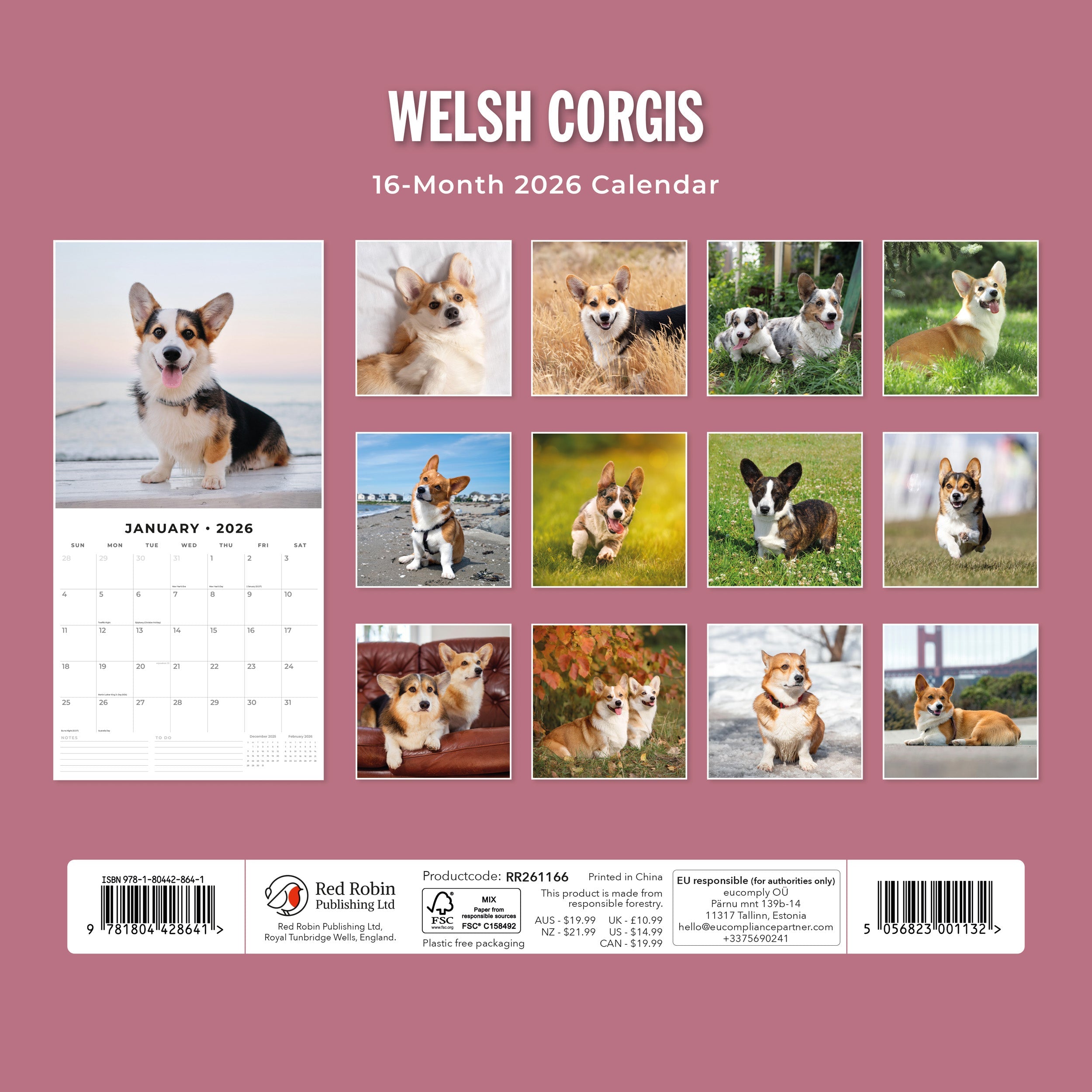 2026 Welsh Corgis - Square Wall Calendar